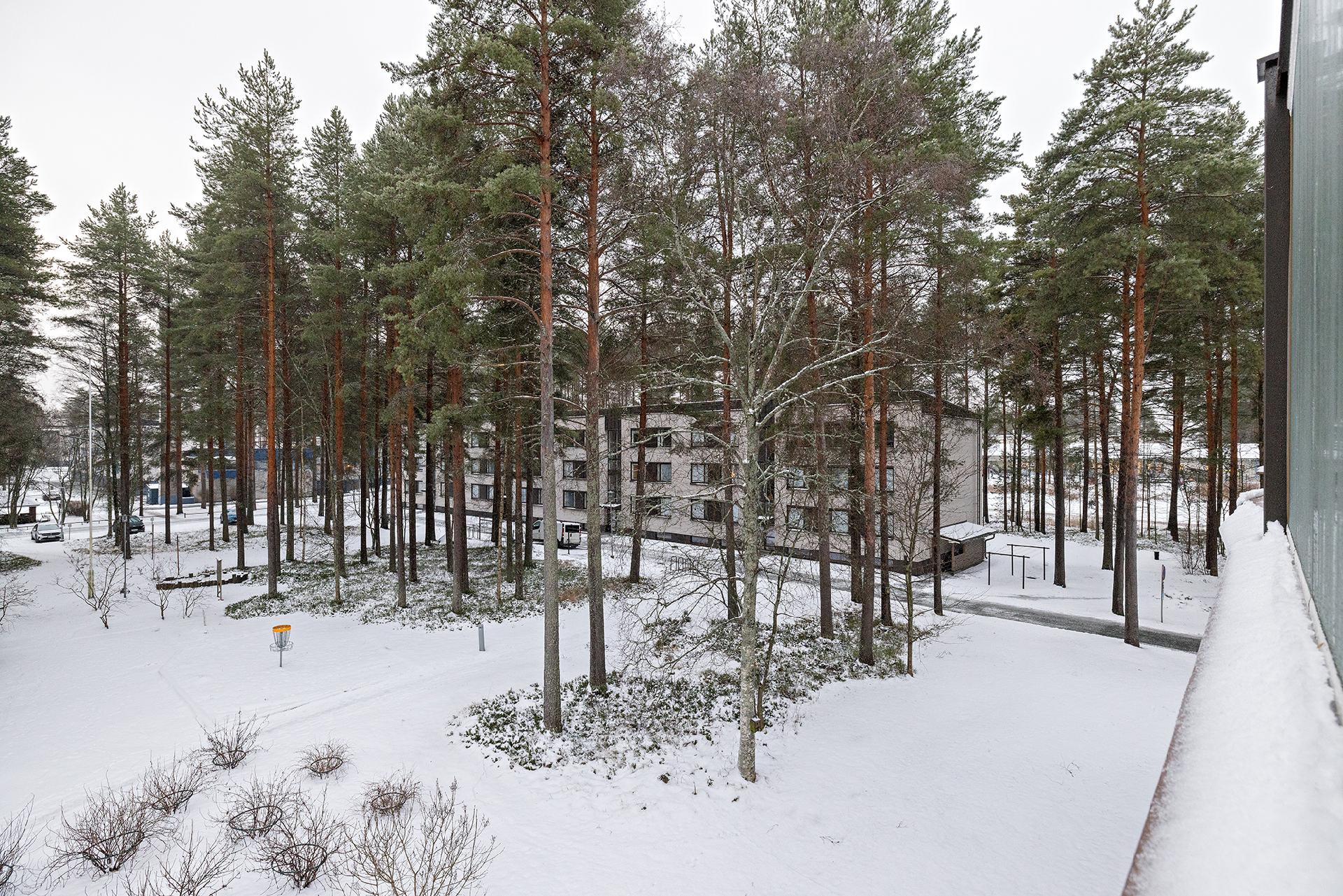 Liisantie 7, Koskela, Oulu