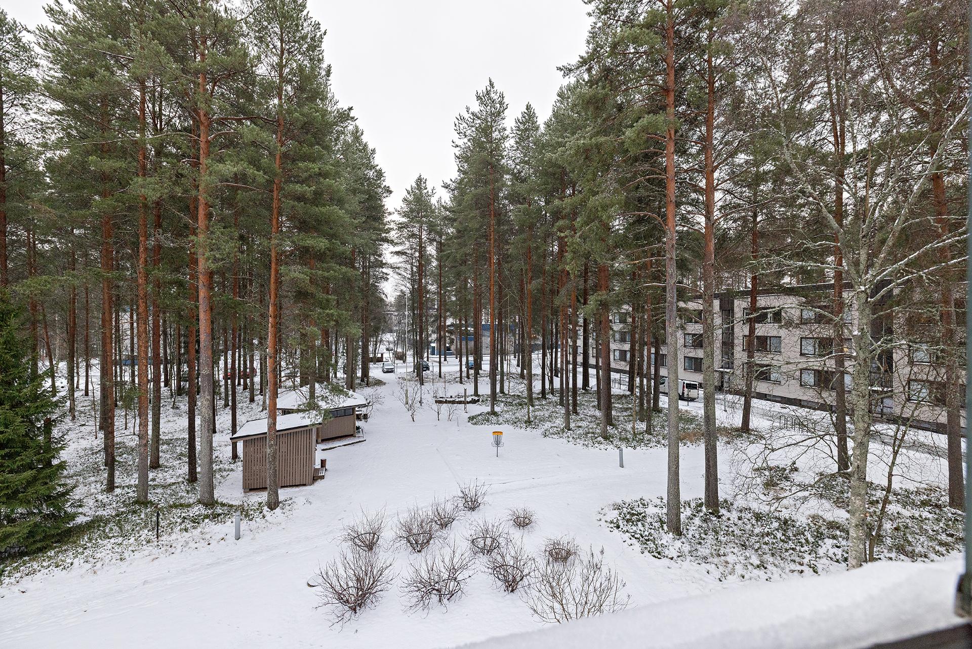 Liisantie 7, Koskela, Oulu