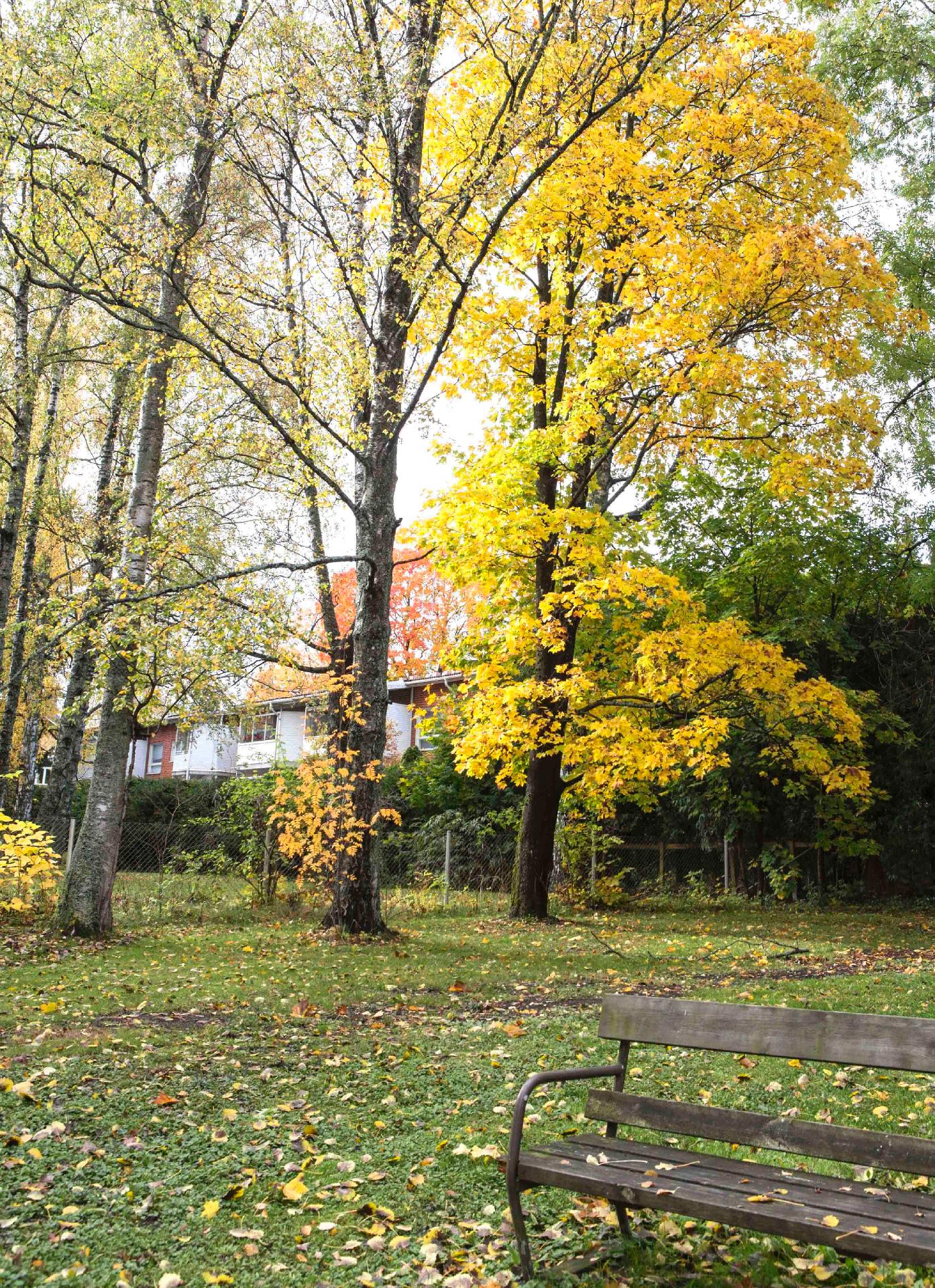 Siltavoudintie 14, Oulunkylä, Helsinki