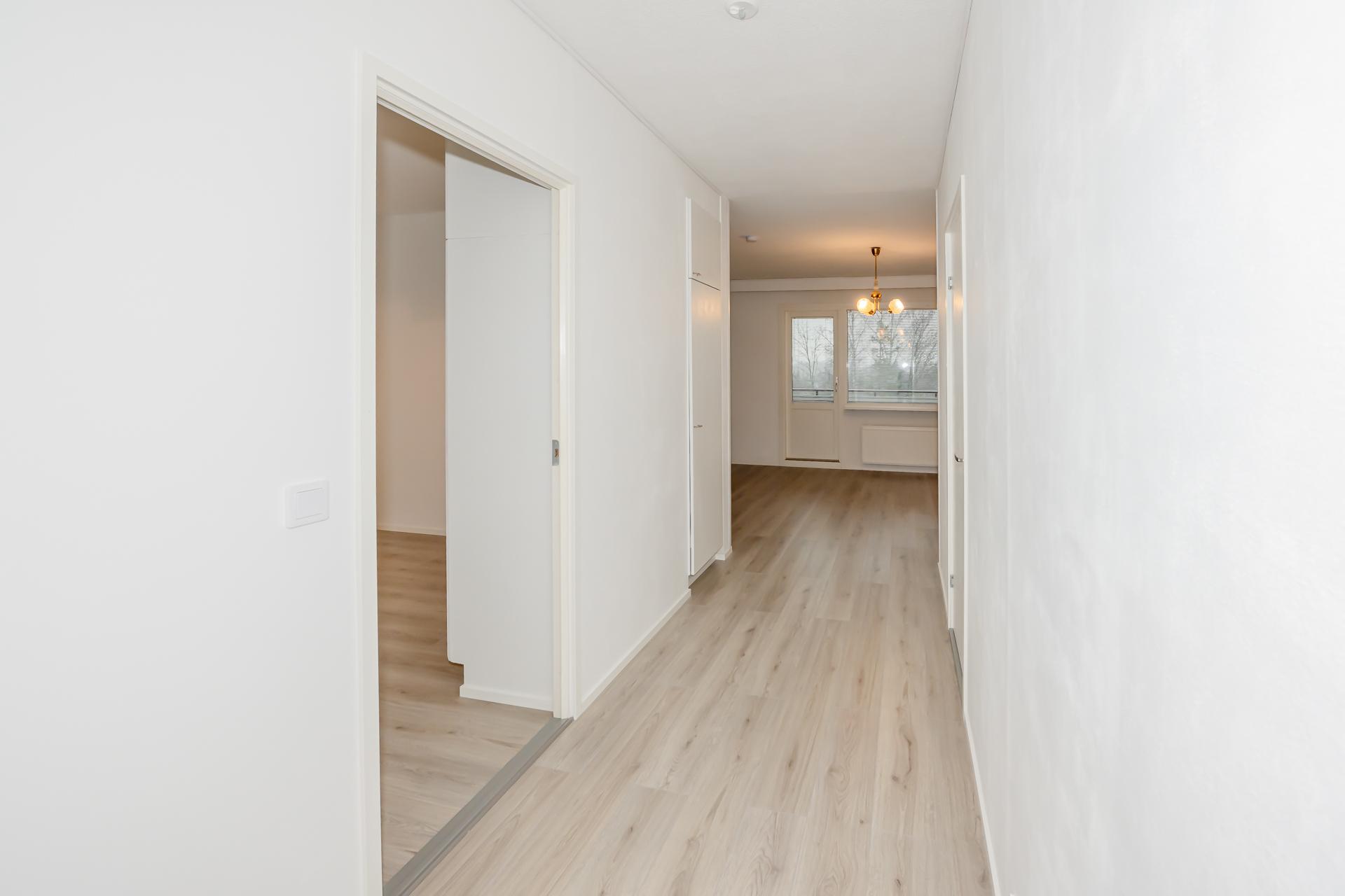 Näkymää eteisestä kohti olohuonetta.