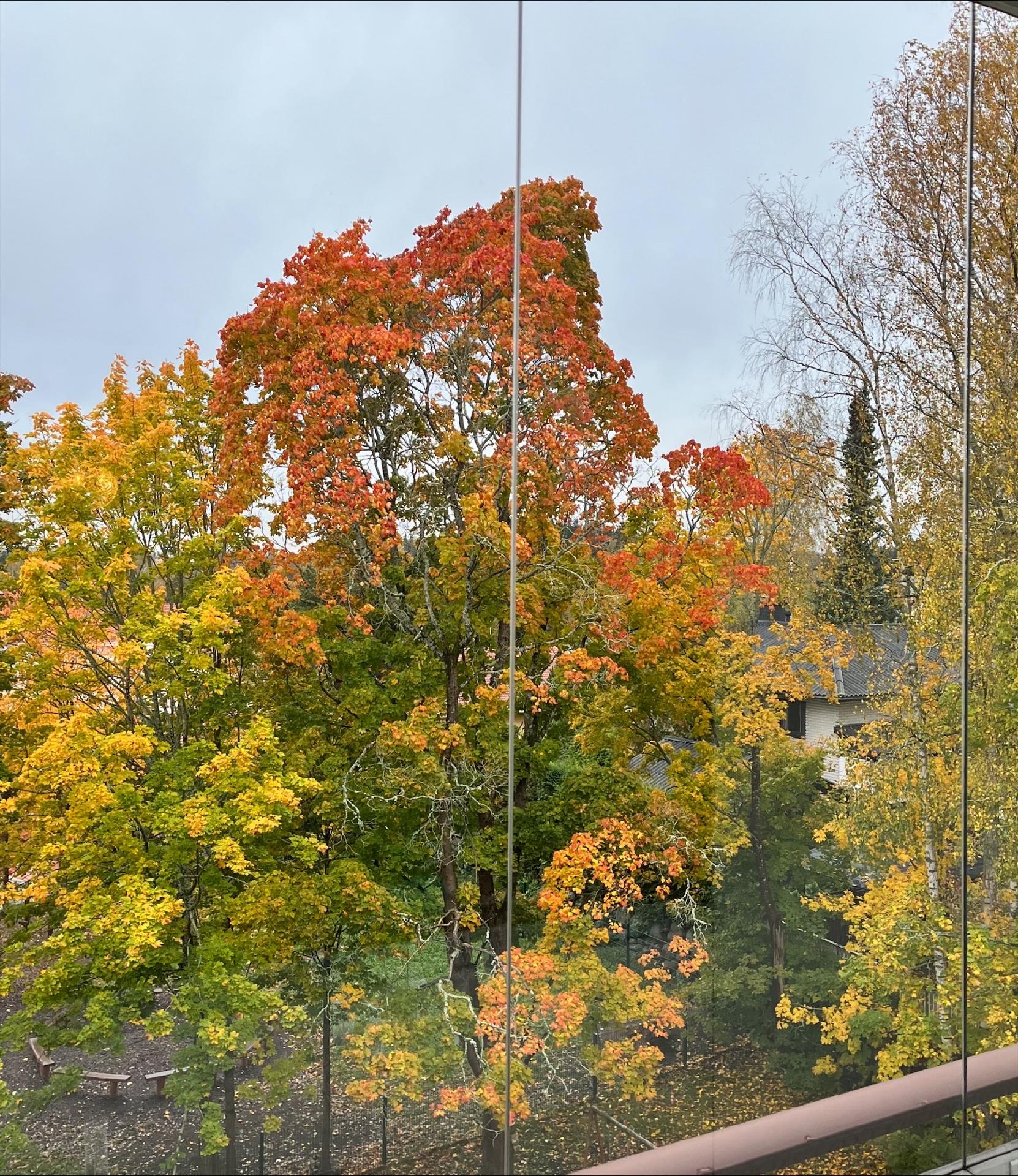 Lopentie 3-7, Koivistonmäki, Riihimäki