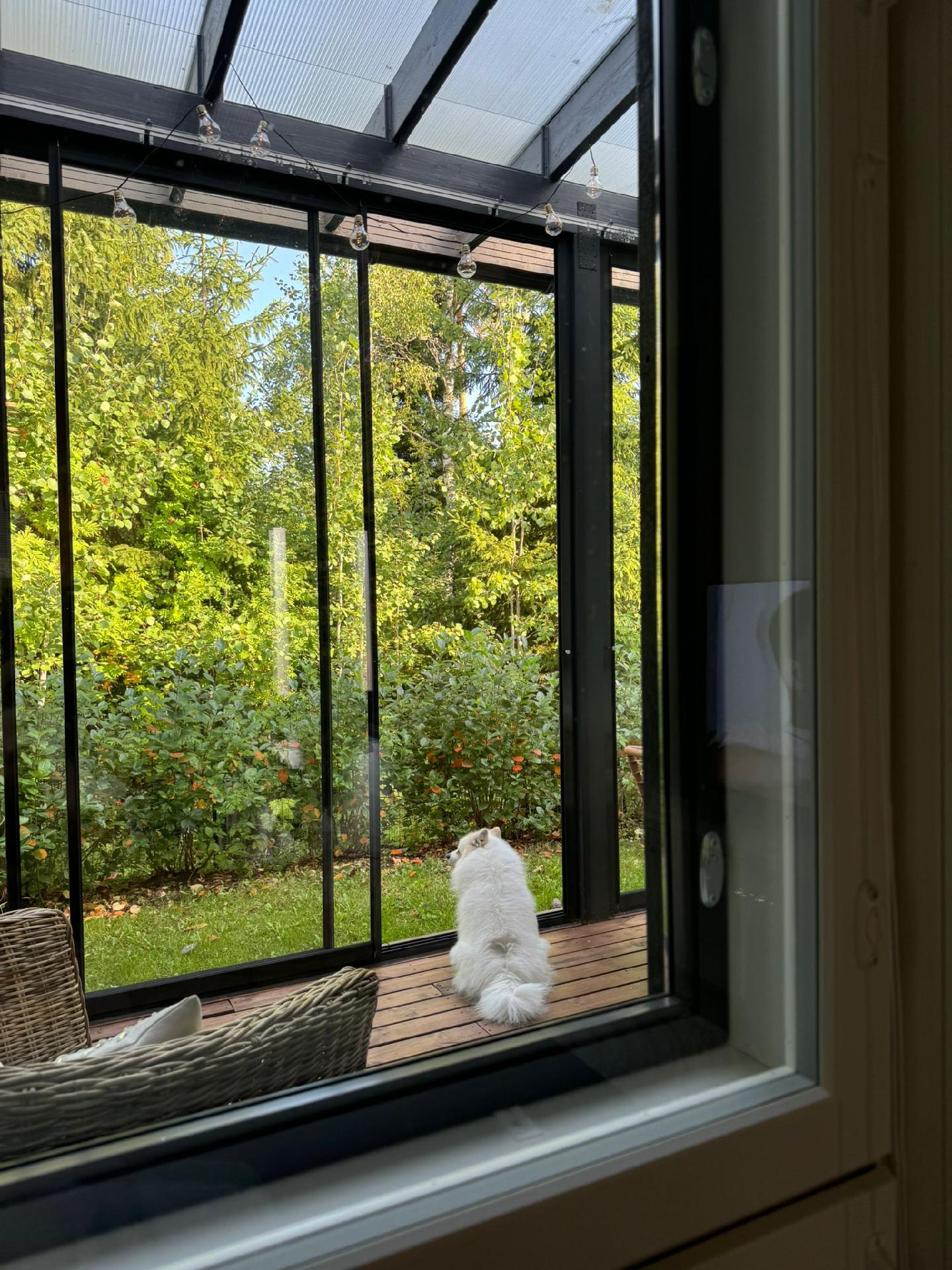 Saniaiskatu 5, Karisto, Lahti