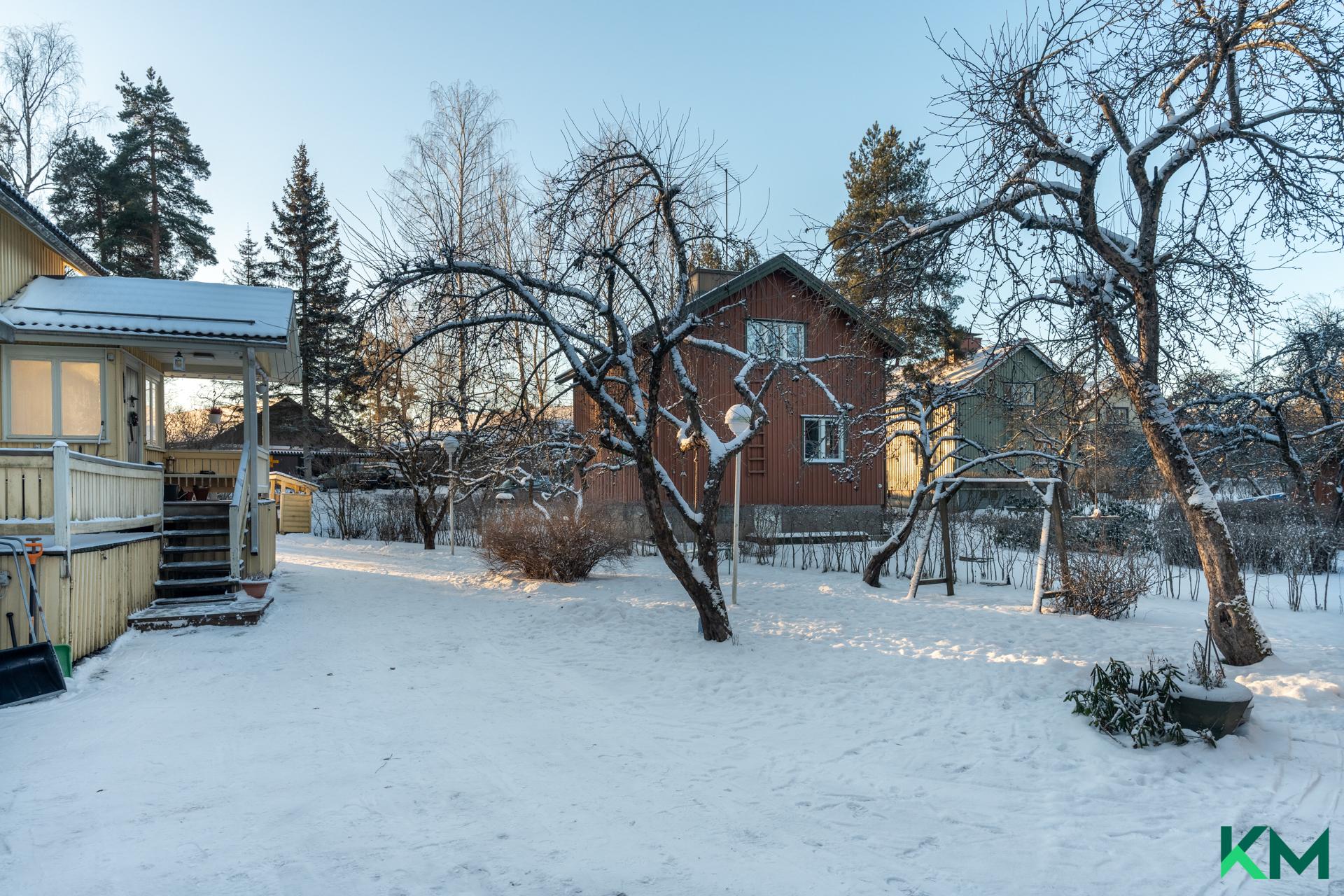 Pihalla paljon omenapuita