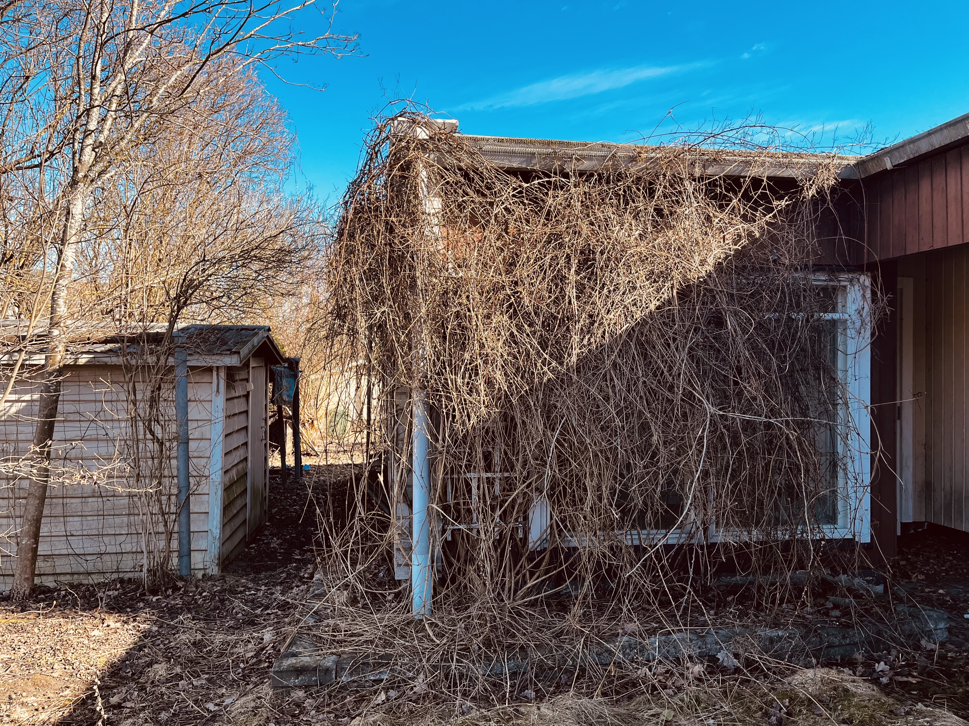 Paavolantie 3, Malmi, Helsinki