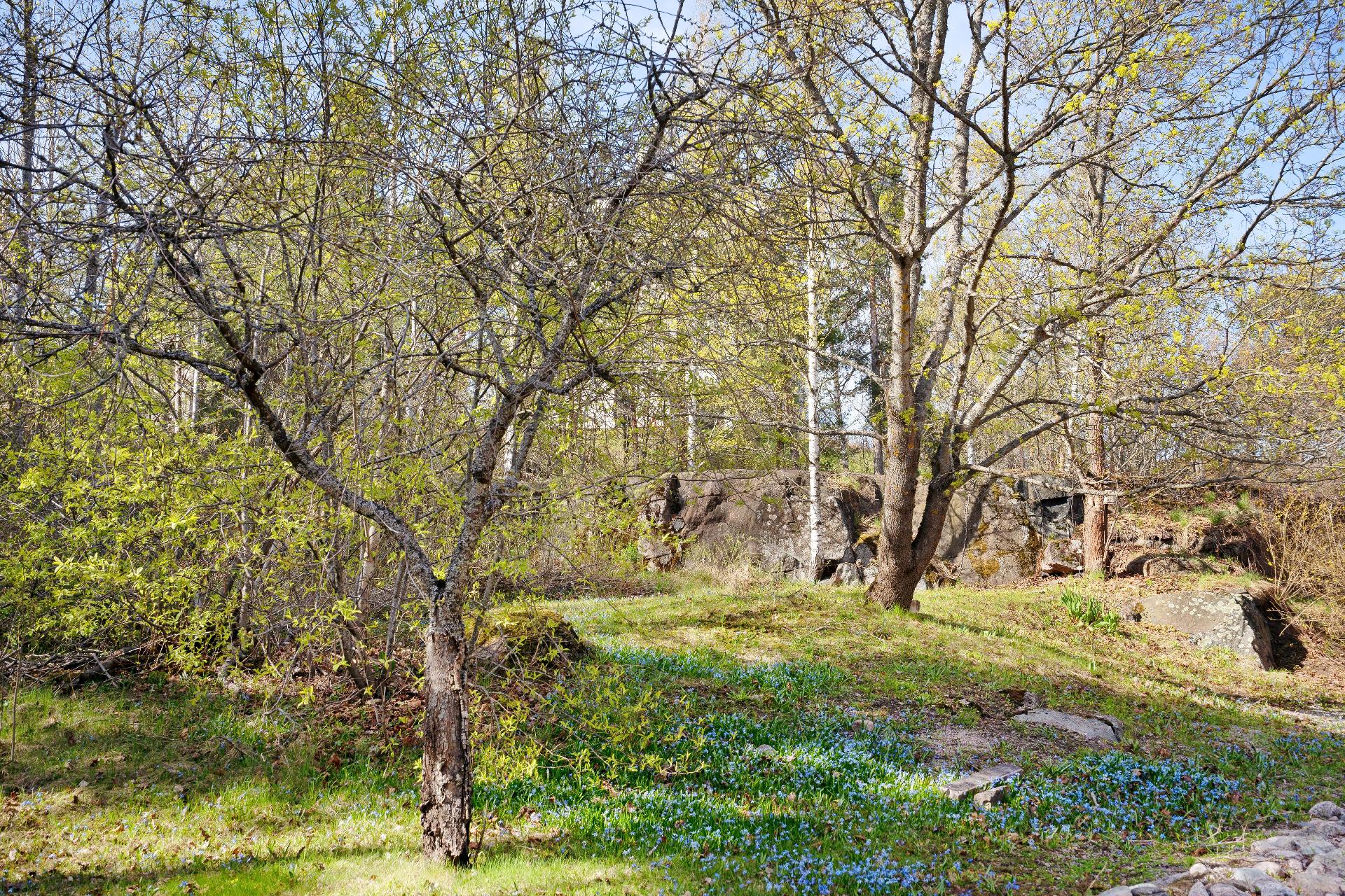 olohuoneen vehreät näkymät