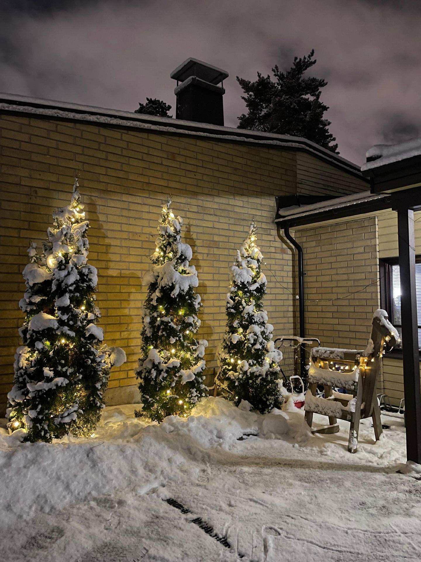 Talvikuva omistajan kotialbumista