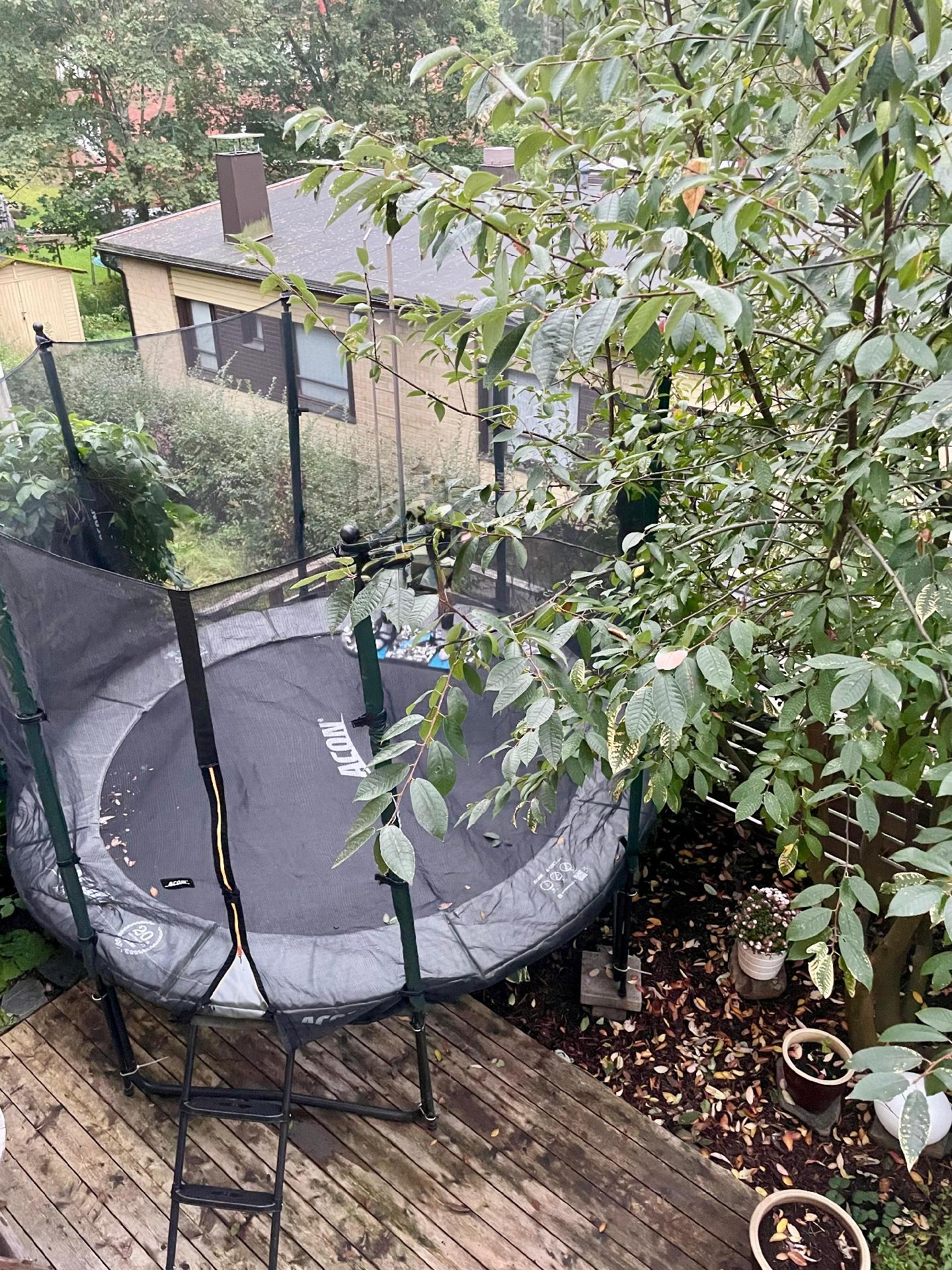 Kesäkuvia omistajan kotialbumista