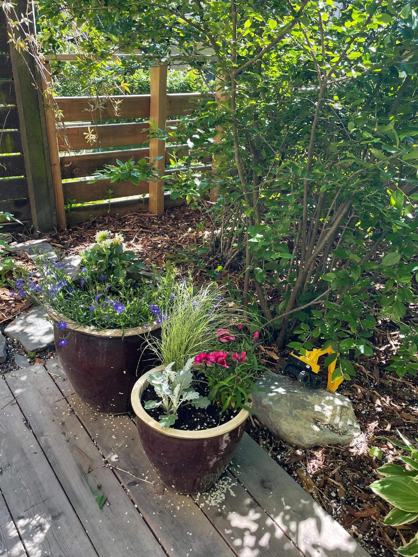 Kesäkuvia omistajan kotialbumista