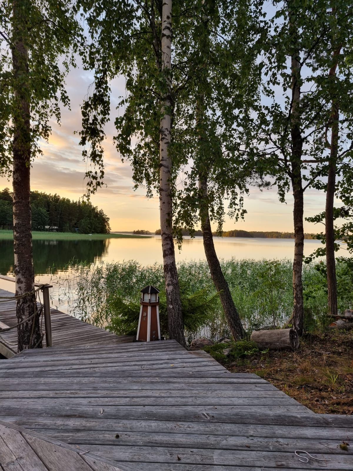 Kesäinen kuva rannasta