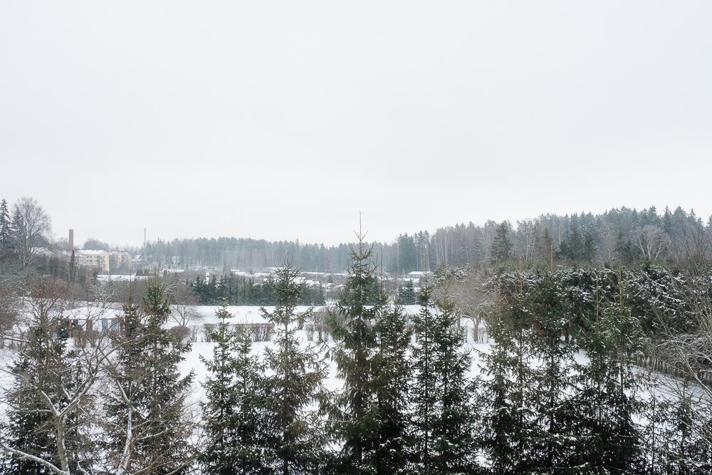 Keittiön ikkunasta on näkymä Kumpulan siirtolapuutarhaan