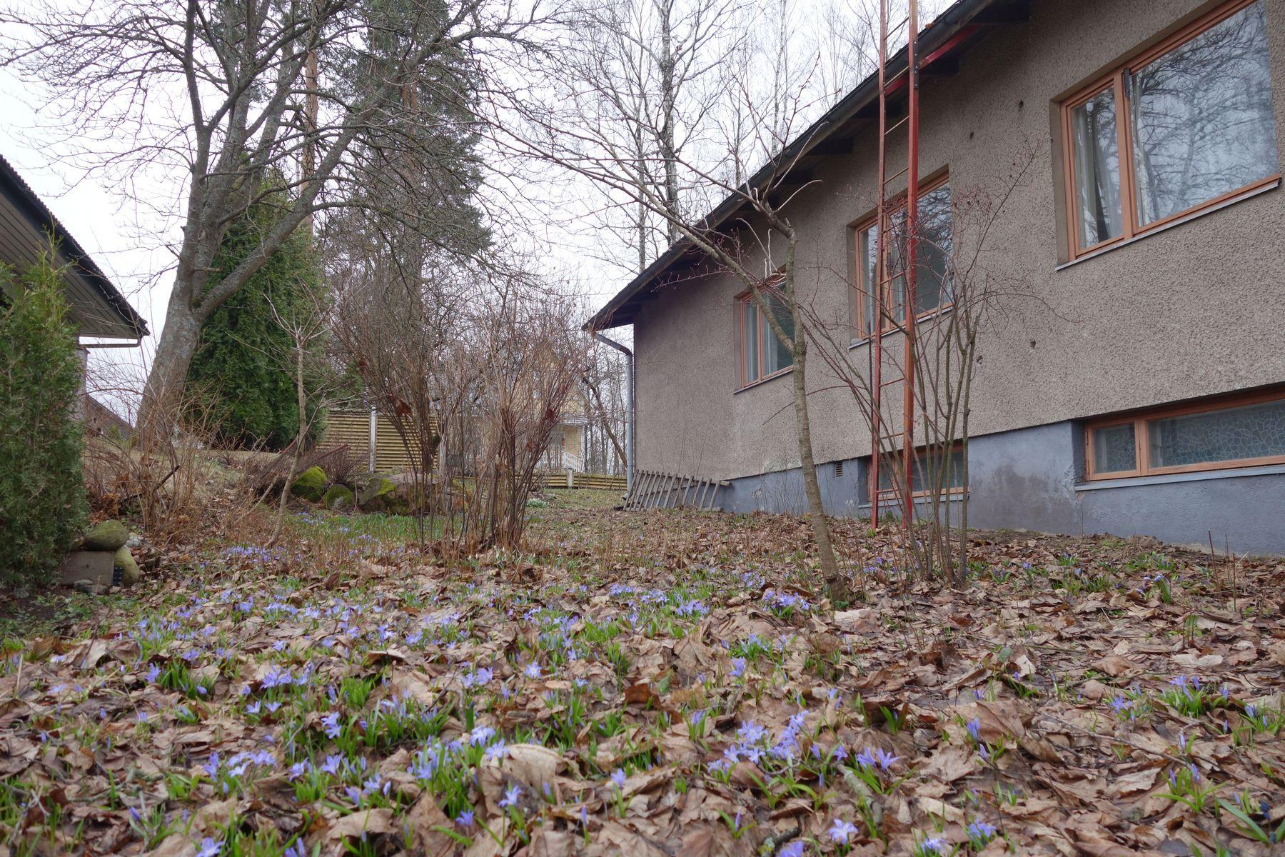 Taulutie 24, Itä-Pakila, Helsinki