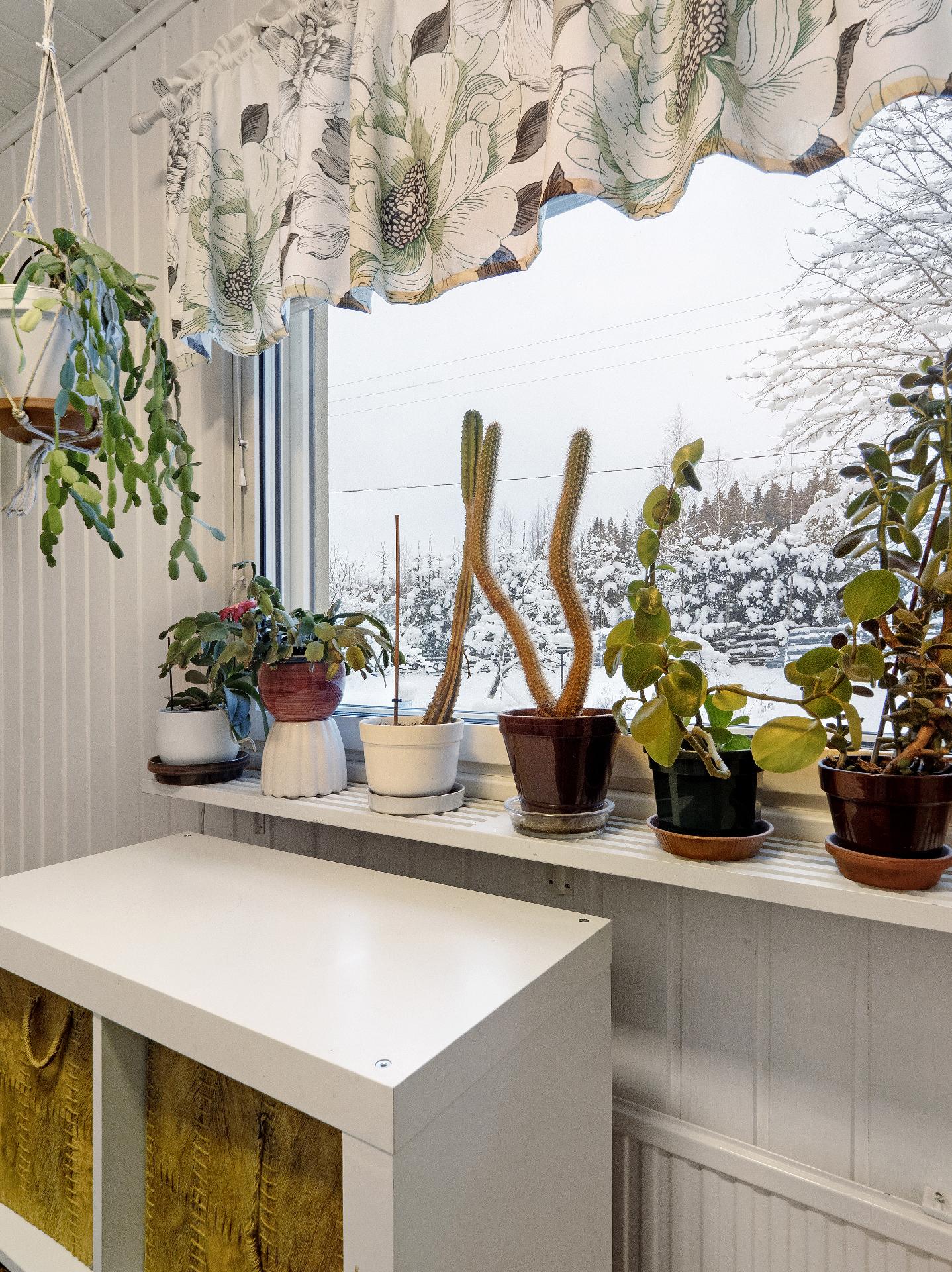 Mulonsalontie 331, Reijola, Joensuu