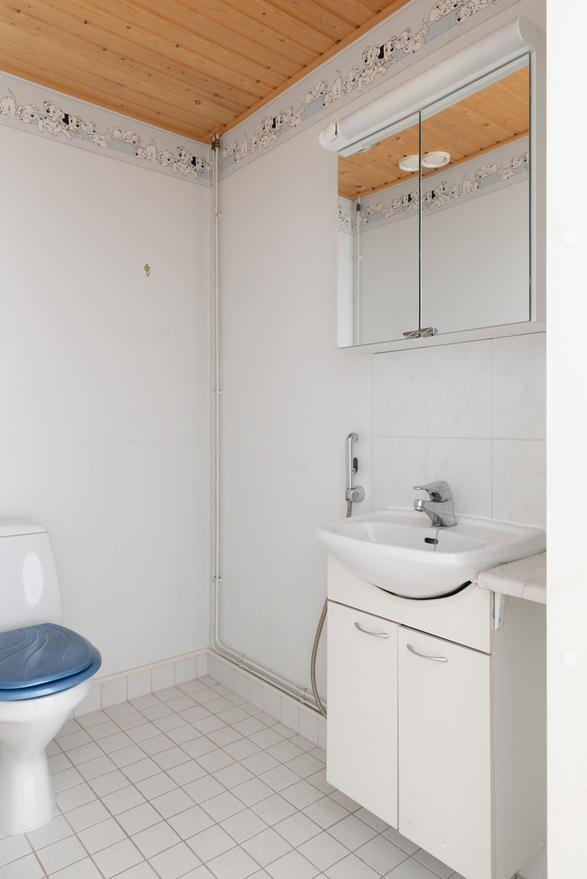 Erillinen wc