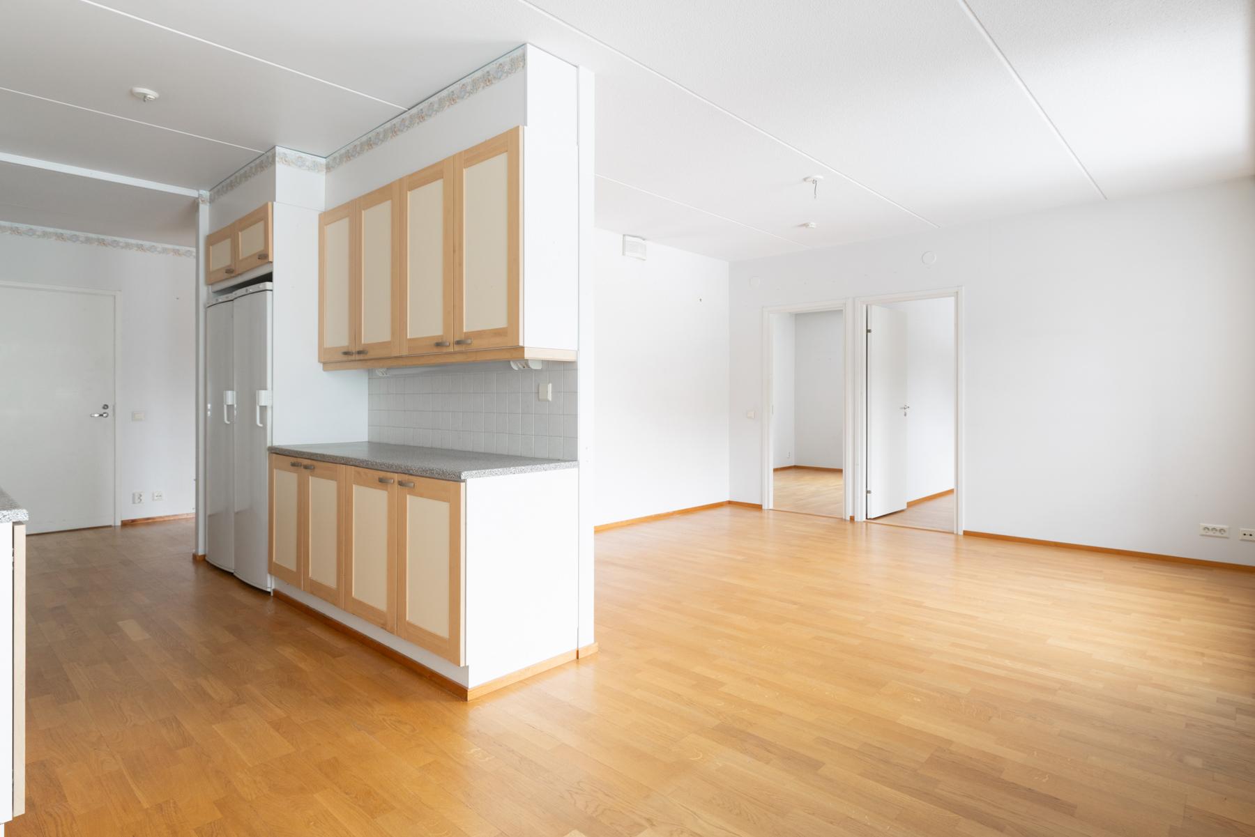 Keittiötä ja olohuonetta