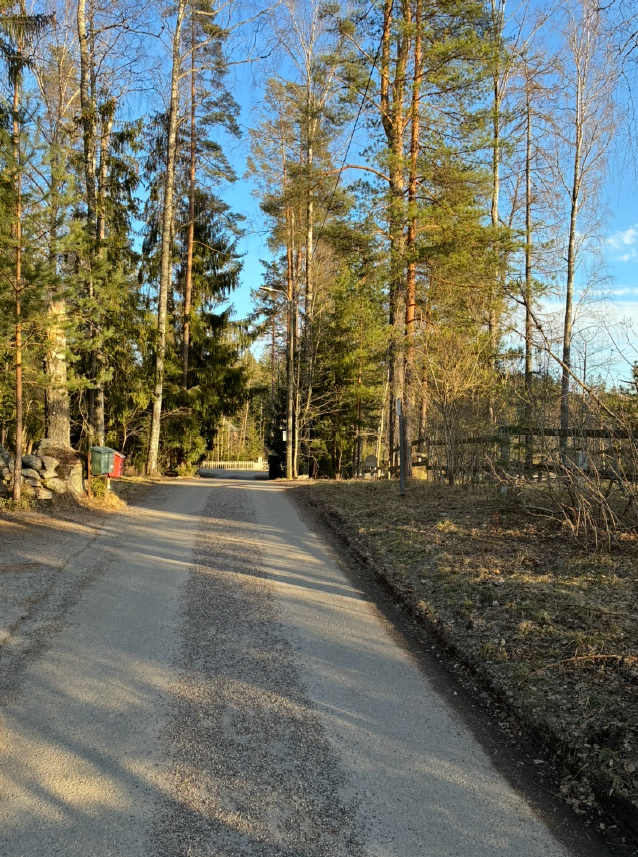 Kotitie