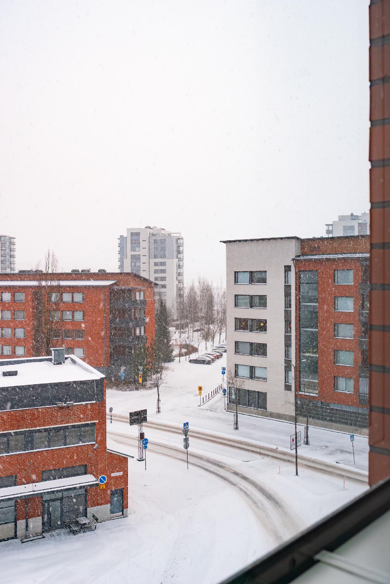 Schaumanin Puistotie 22, Lutakko, Jyväskylä