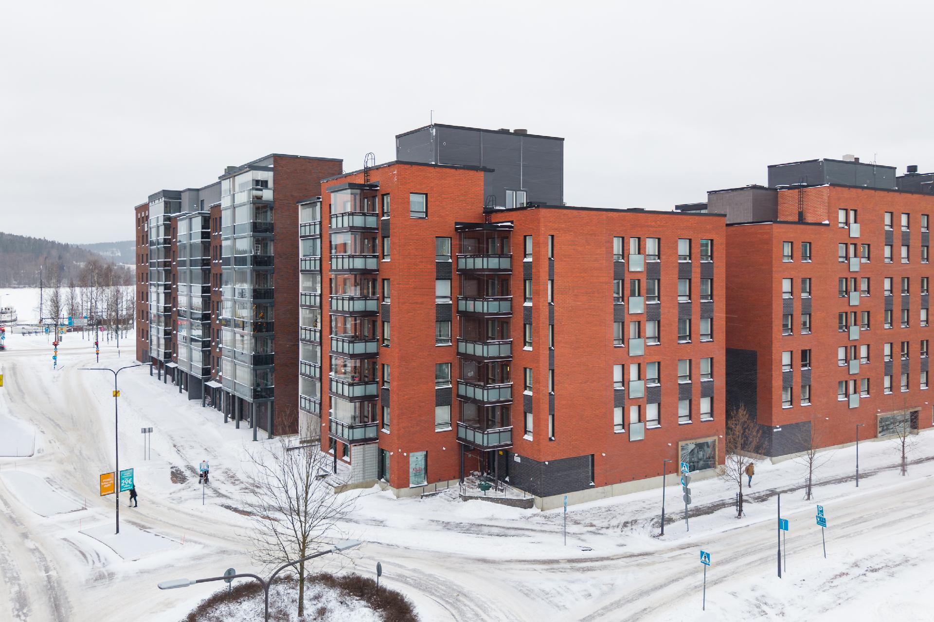 Schaumanin Puistotie 22, Lutakko, Jyväskylä