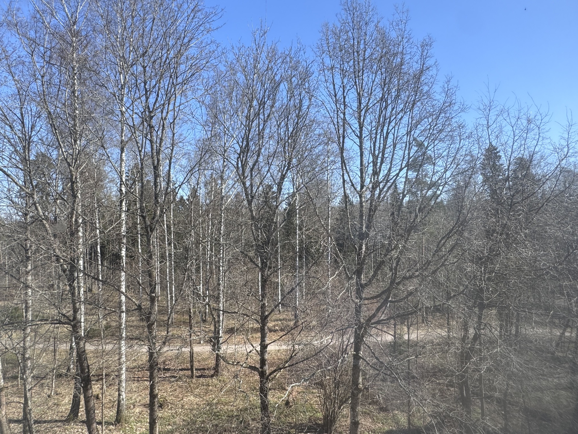  Metsänäkymä keittiöstä ja makuuhuoneesta