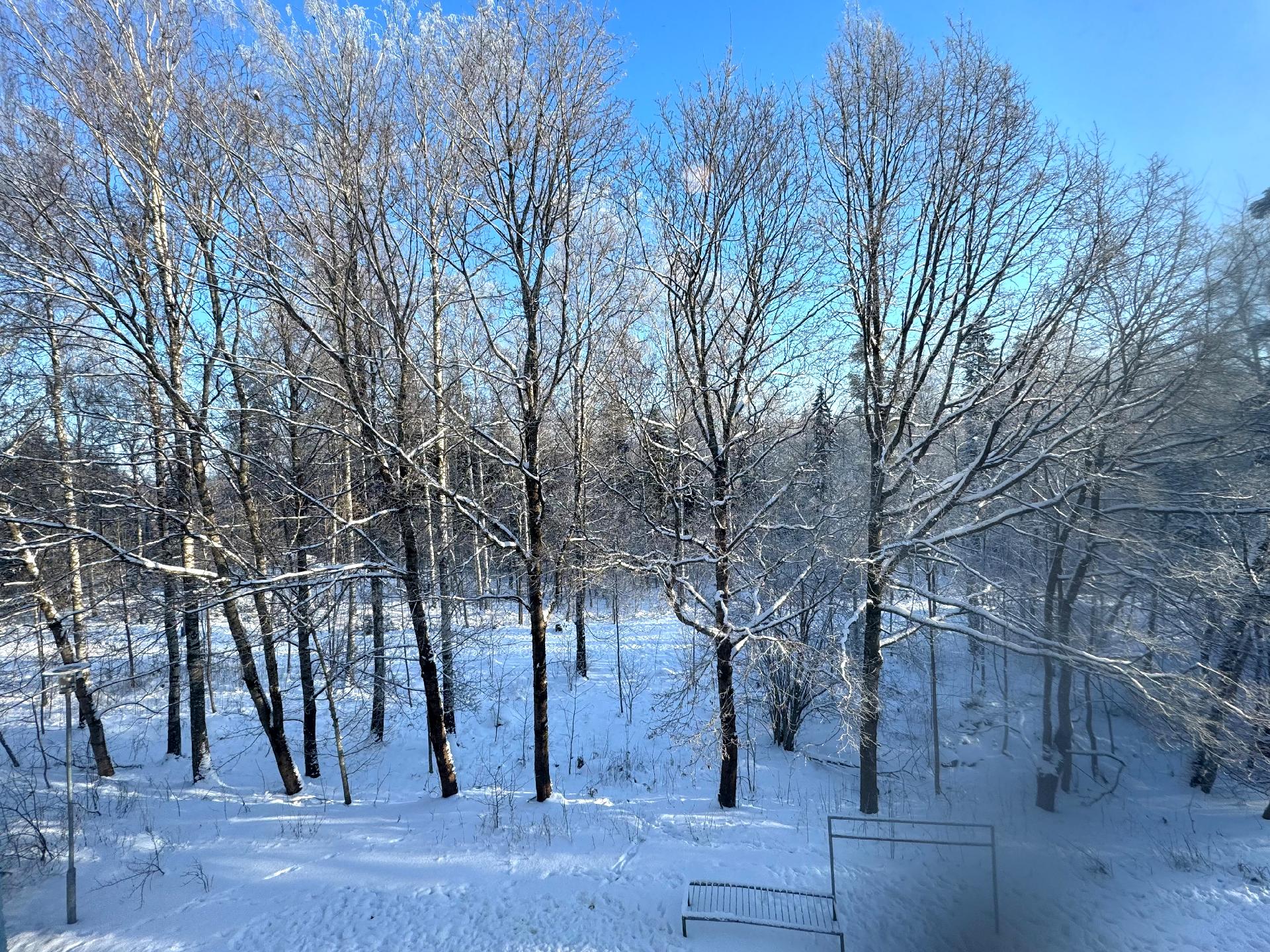 Metsänäkymä keittiöstä ja makuuhuoneesta