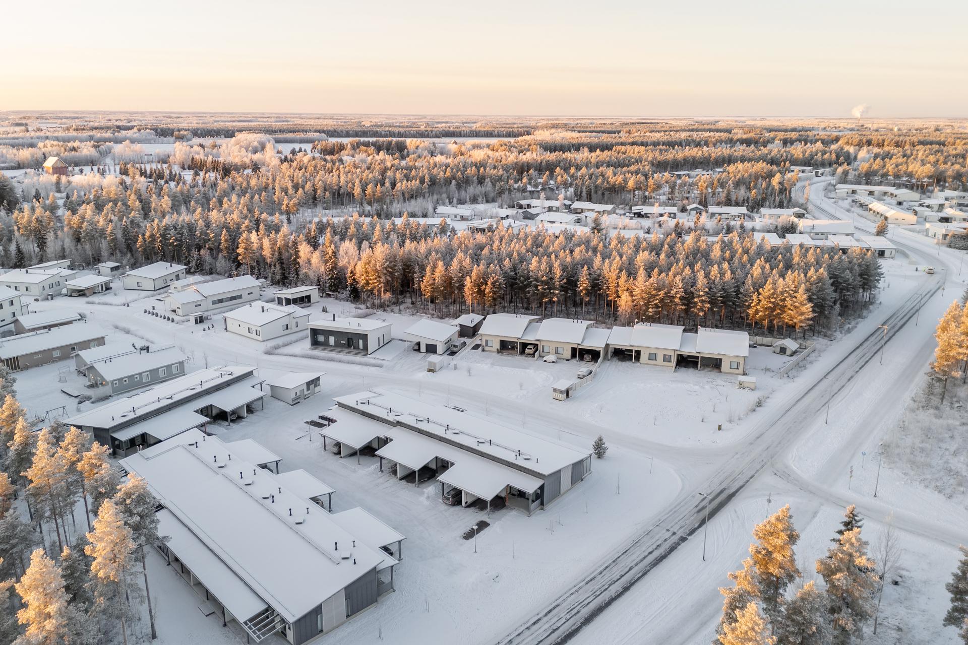 Käpälälauta 1, Metsärinne, Kempele