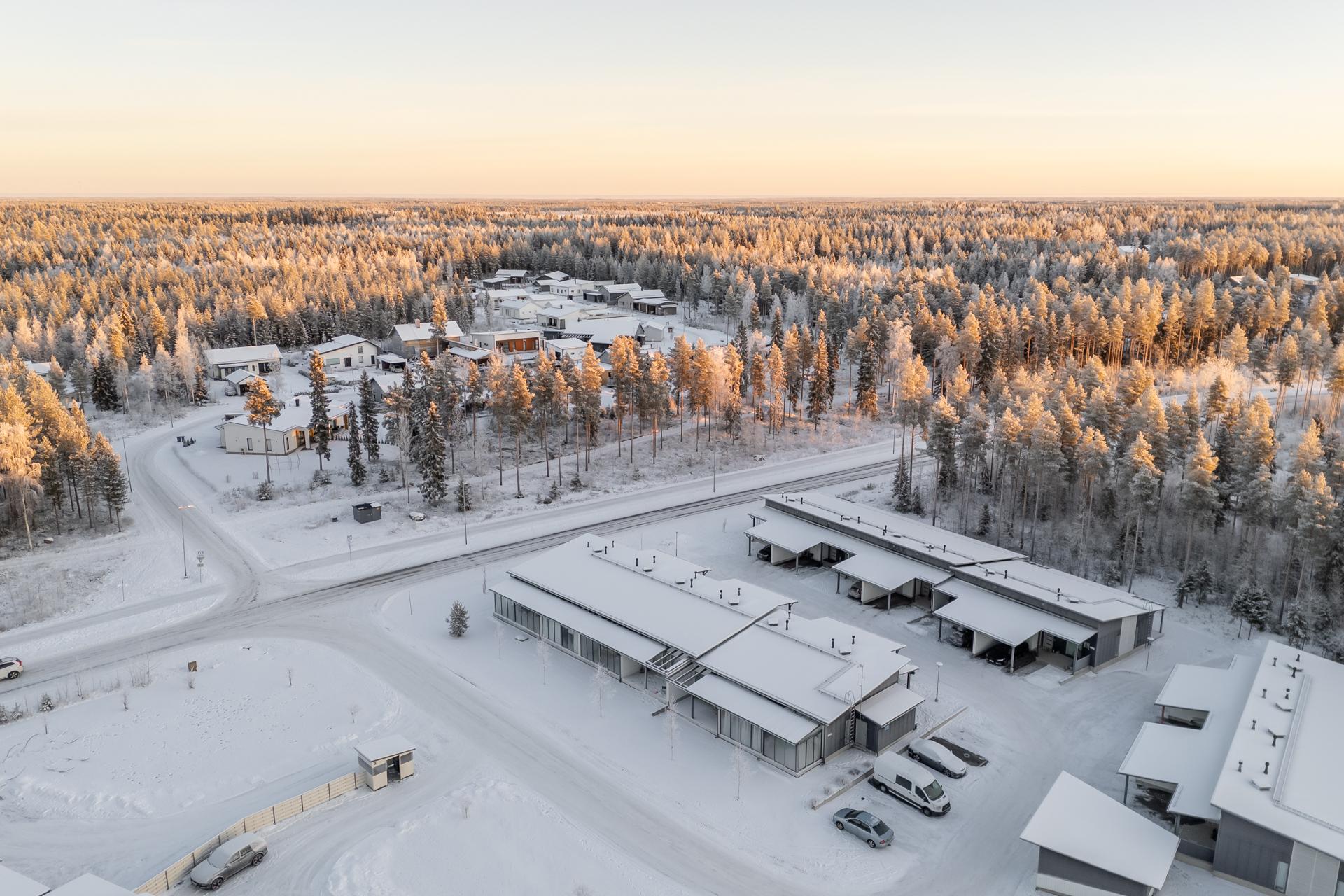 Käpälälauta 1, Metsärinne, Kempele