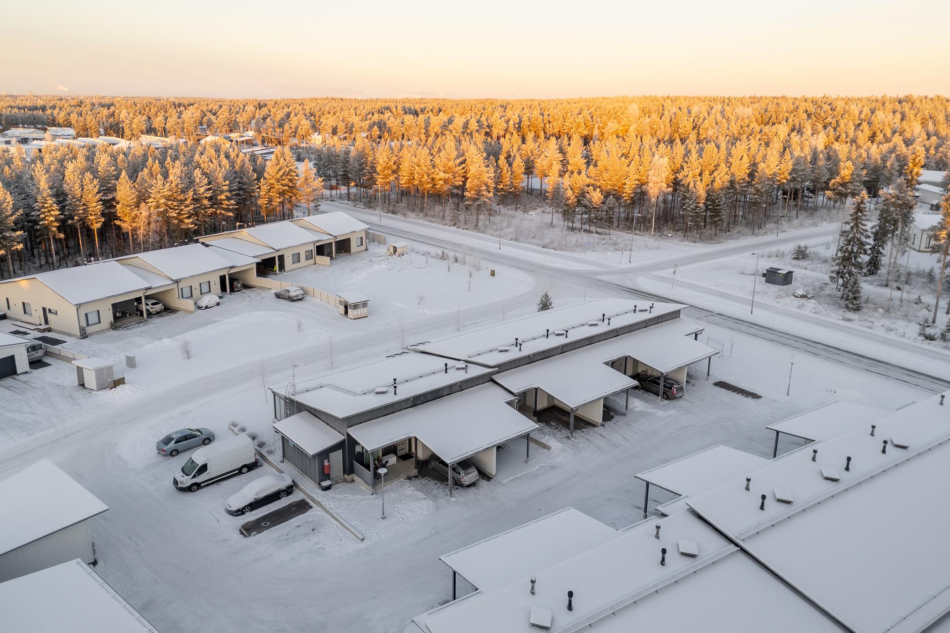 Käpälälauta 1, Metsärinne, Kempele