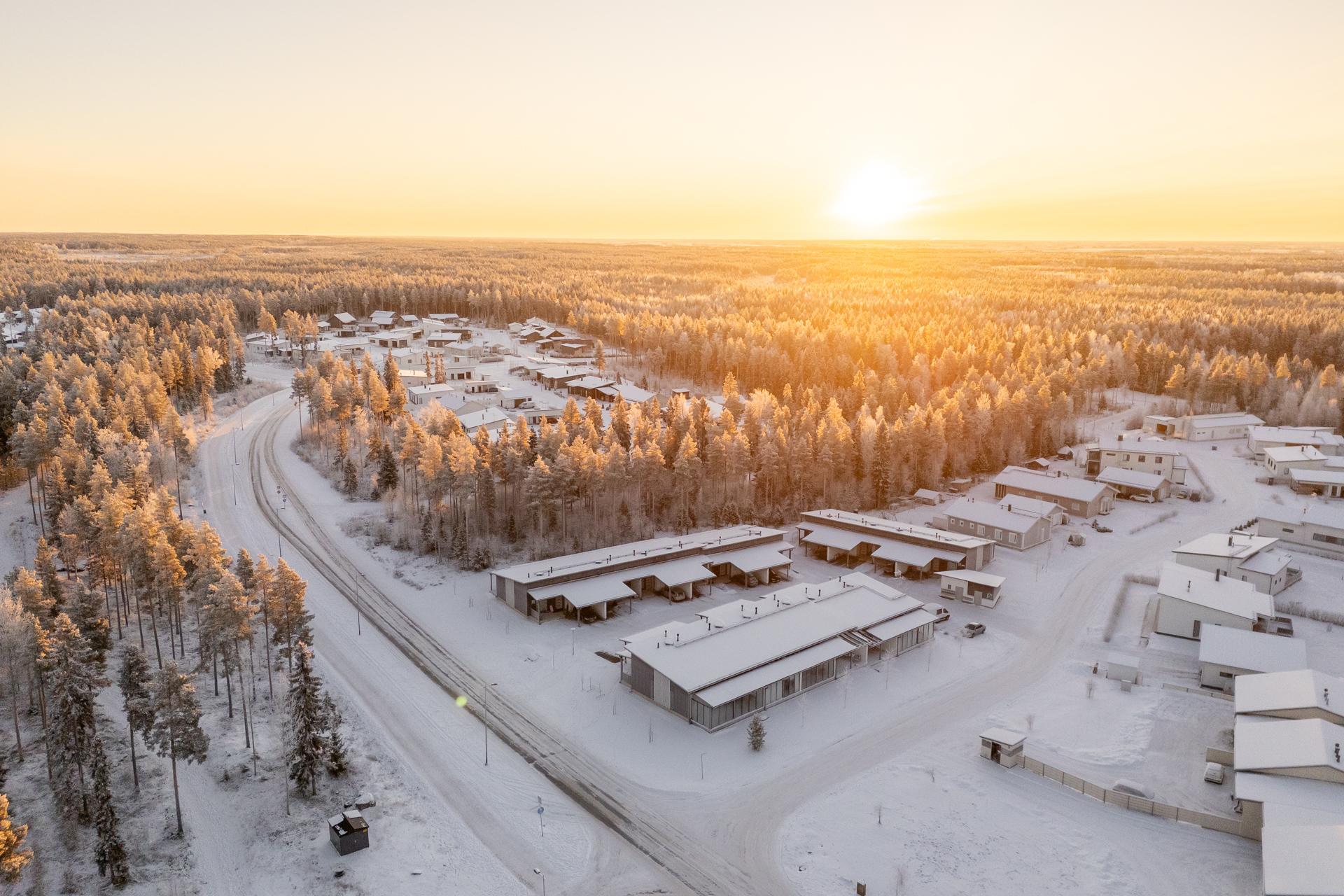 Käpälälauta 1, Metsärinne, Kempele