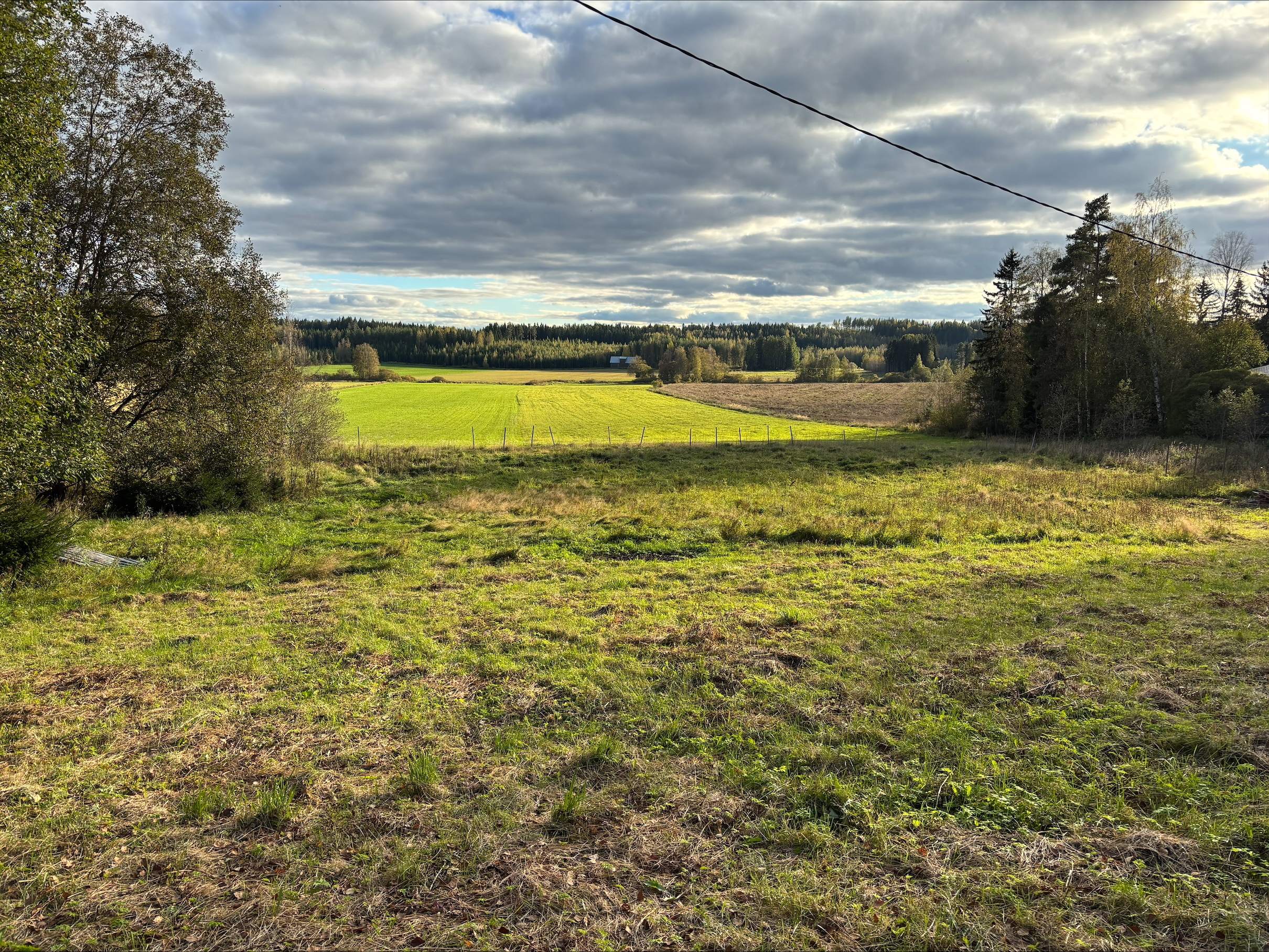 Koivurinteentie -, Arolammi, Riihimäki