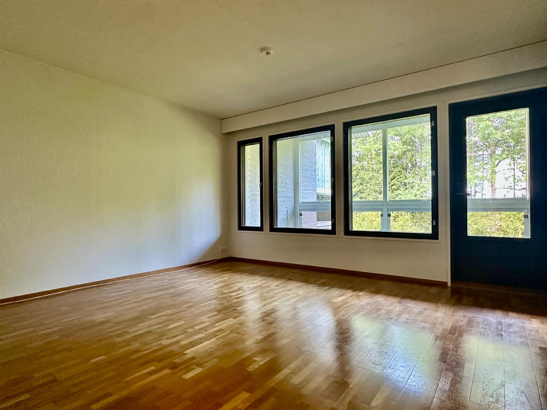 Lemmenmäentie 28, Kirjaus, Riihimäki