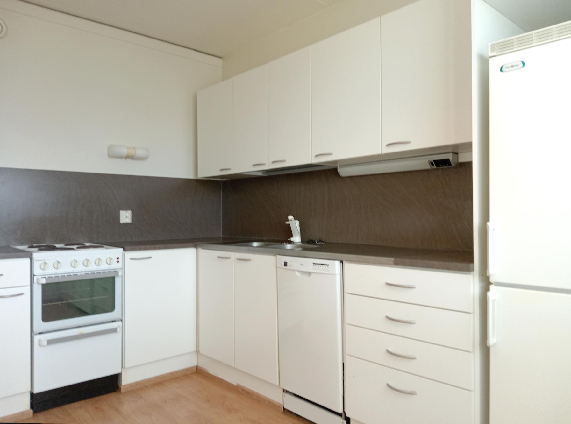 Siistikuntoinen keittiö