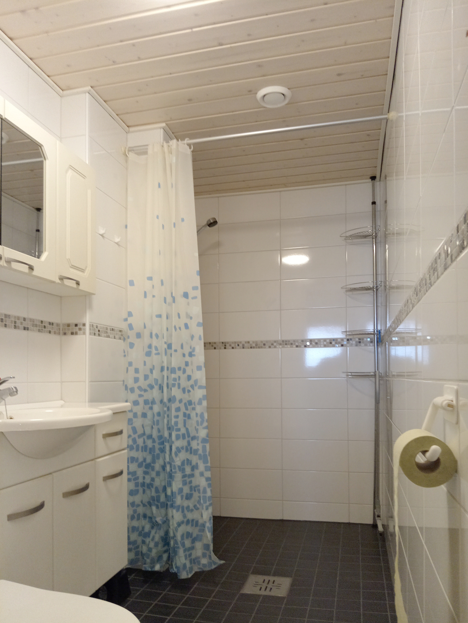 Kissanhännäntie 2, Tervakoski, Janakkala