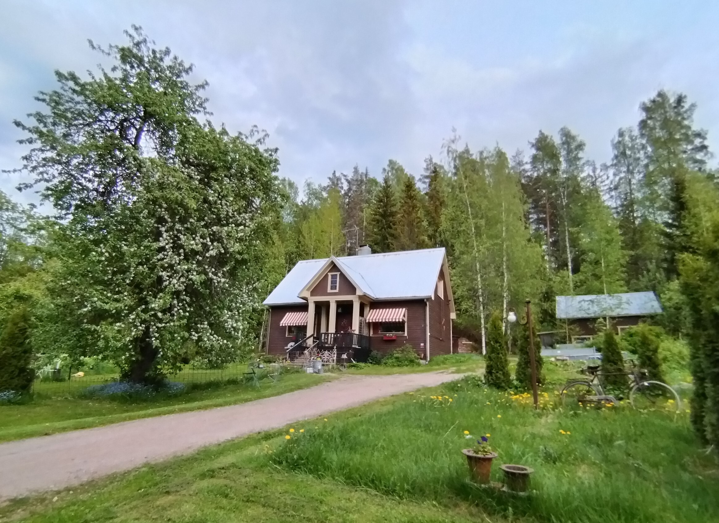Kesäisiä kuvia kohteeesta.