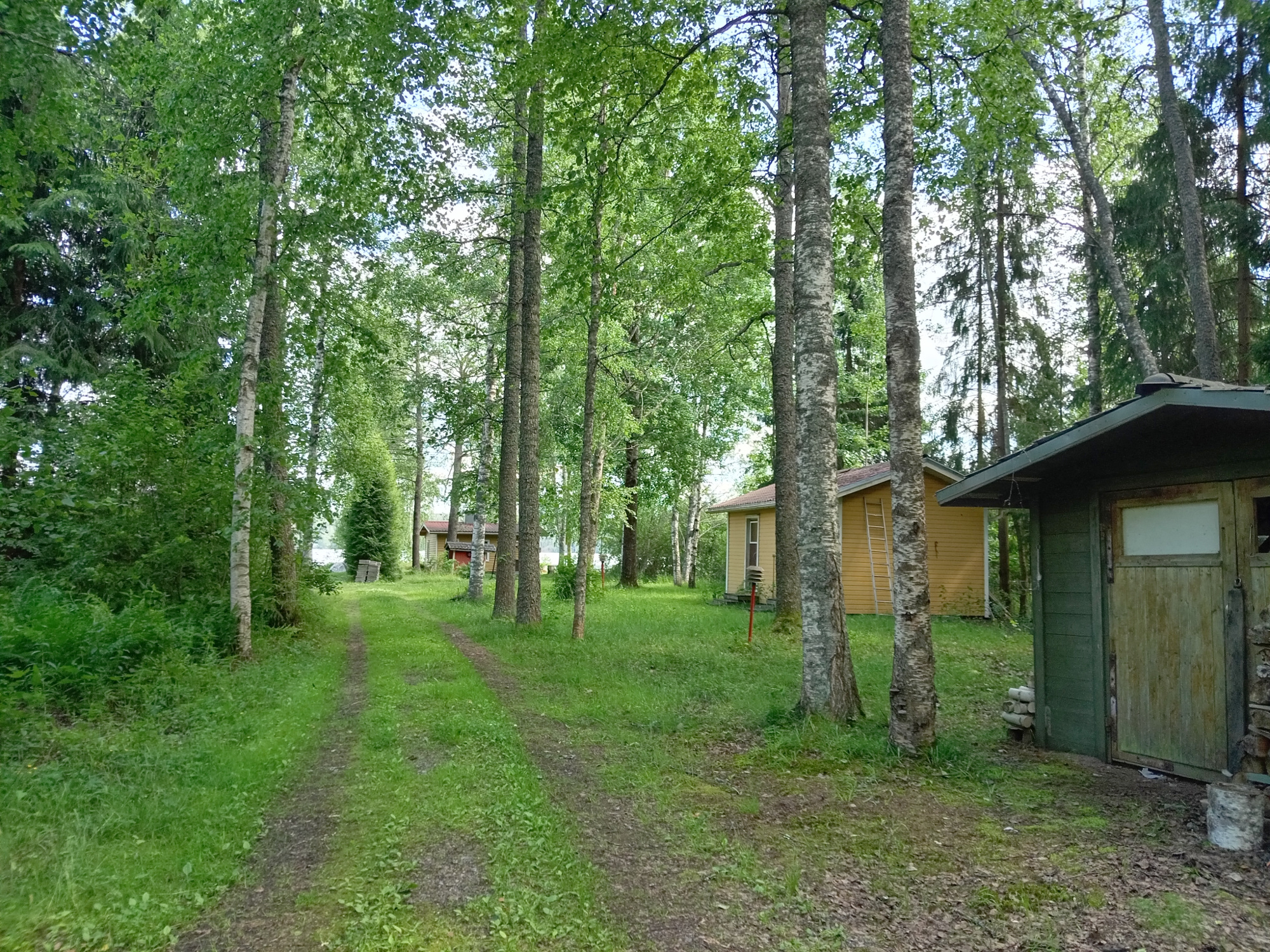 Näkymä pihatieltä