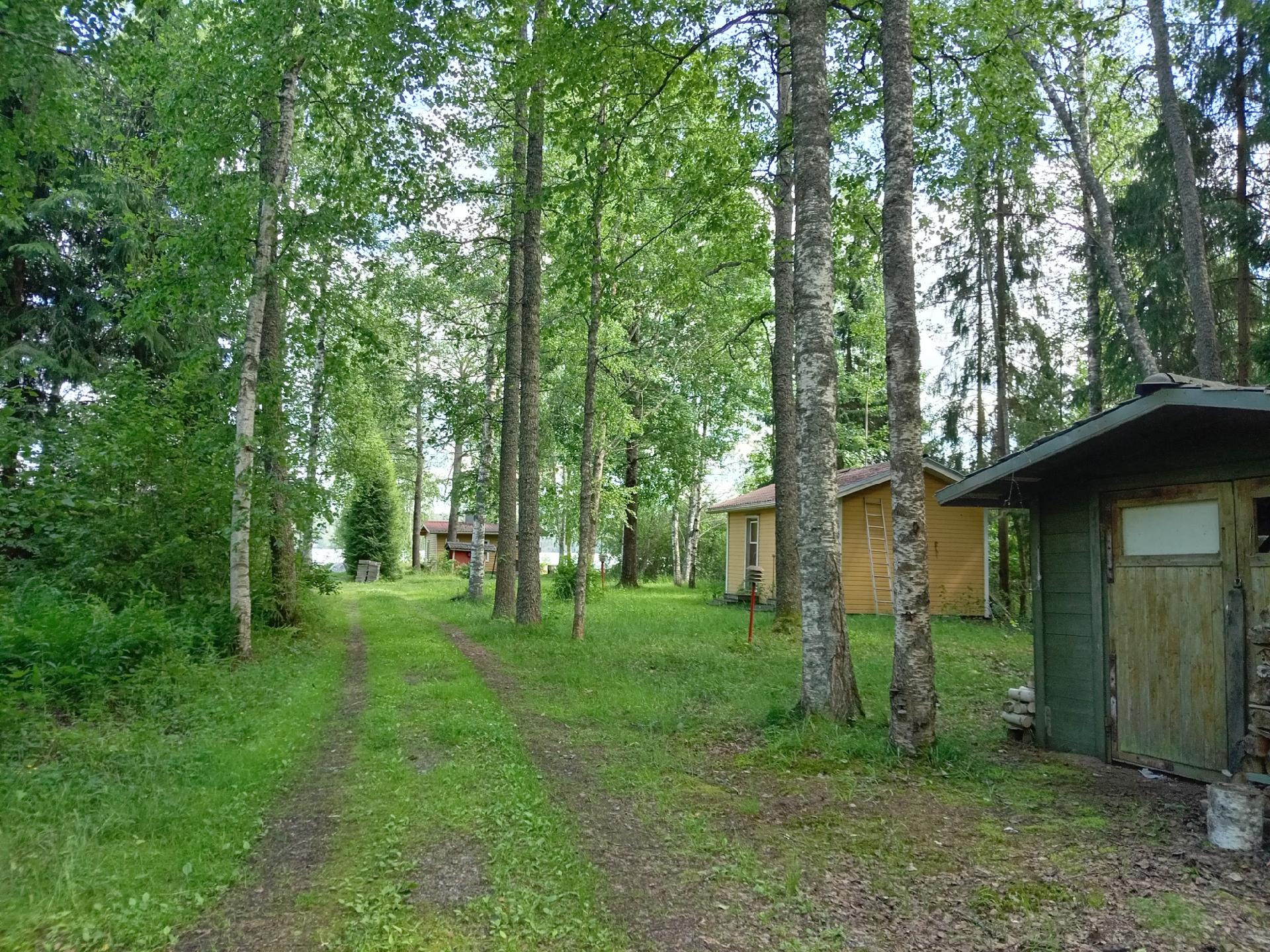 Näkymä pihatieltä