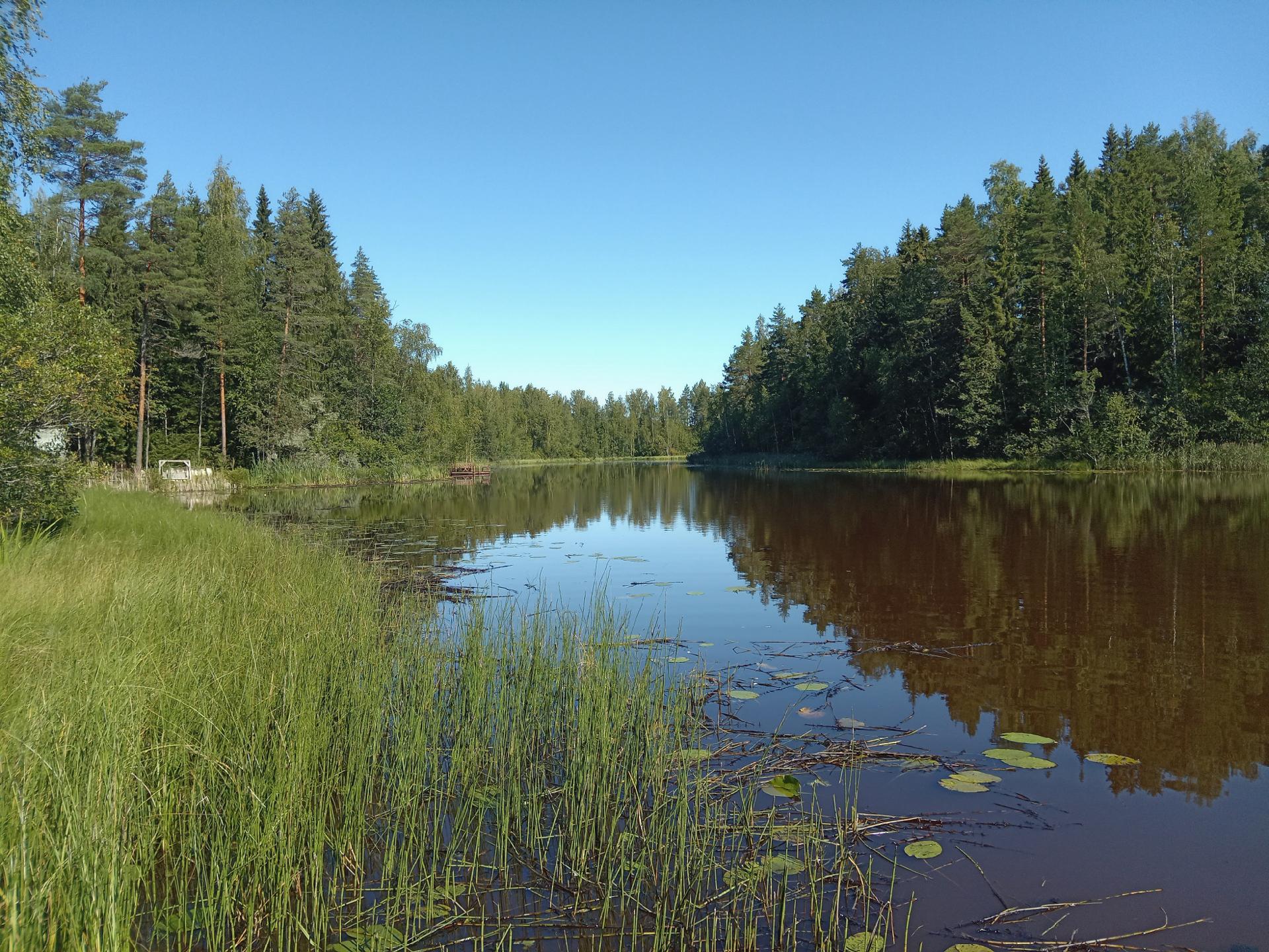 Ranninjärvi laiturilta pohjoiseen