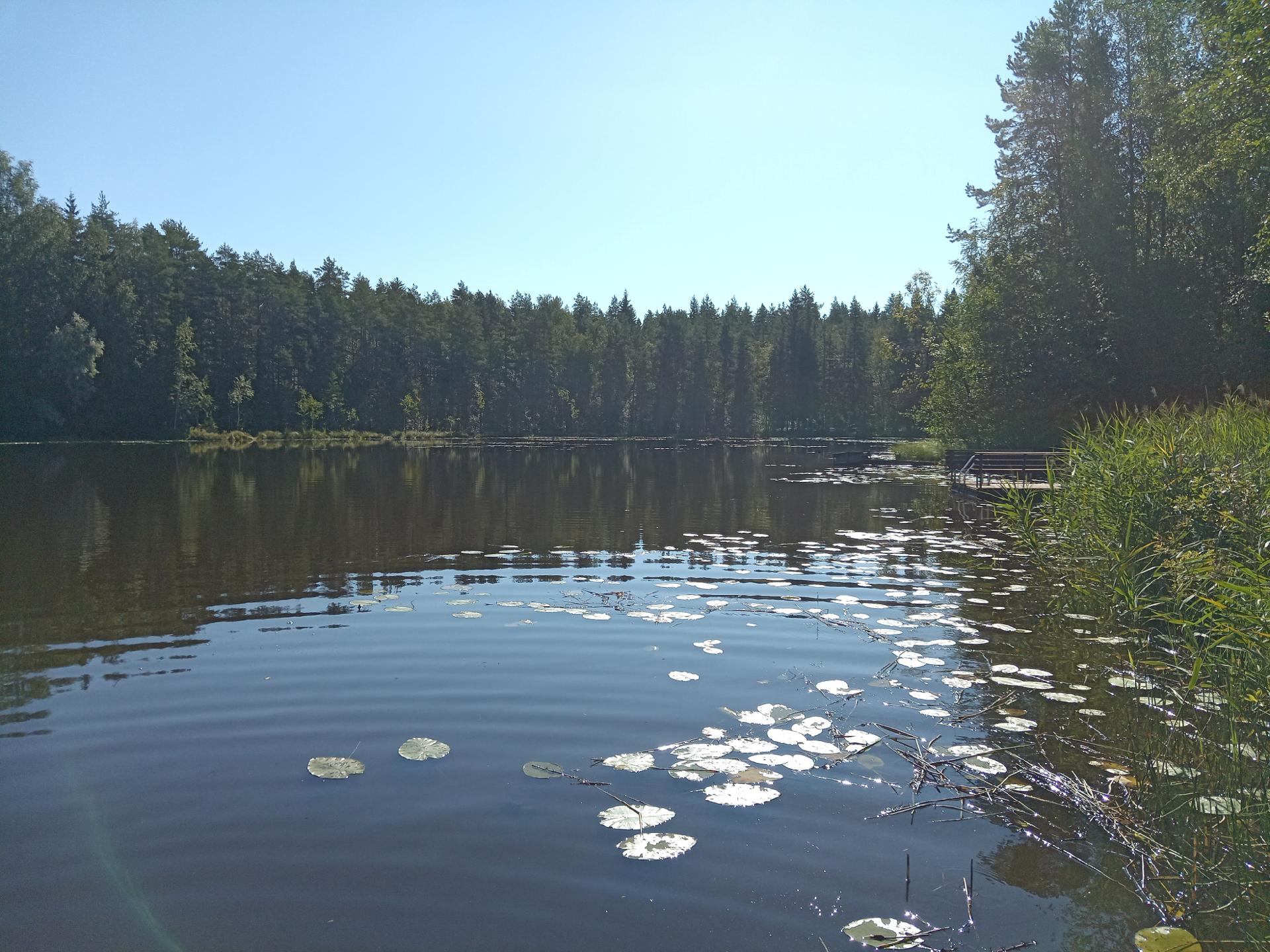 Ranninjärvi laiturilta etelään