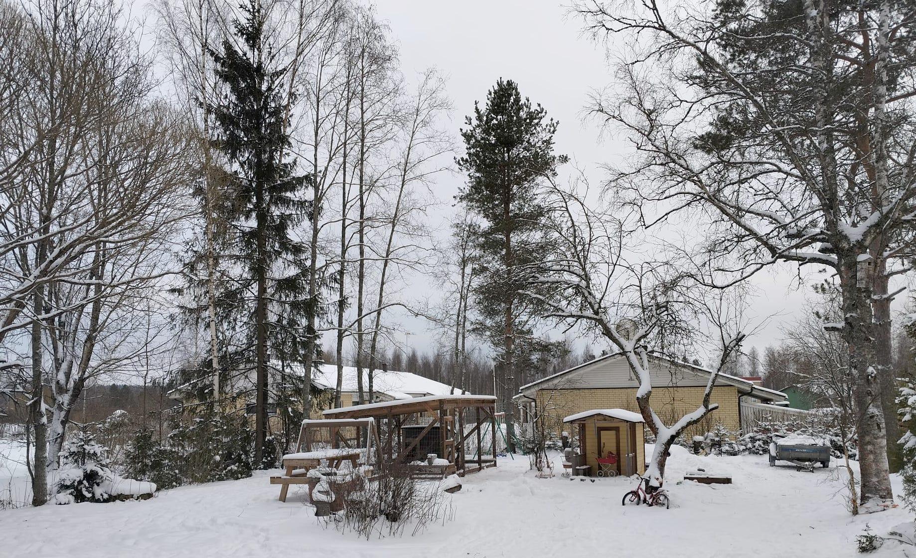 Piha-aluetta. Koira-aitaus on neuvoteltavissa.