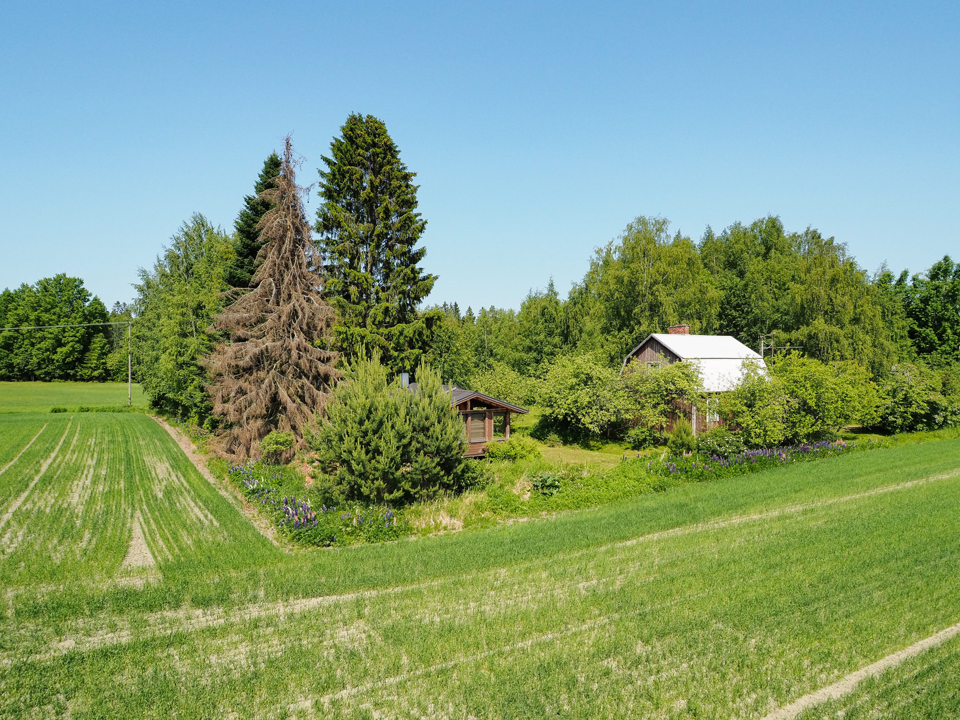 Vapaa-ajan asunto maaseudulla