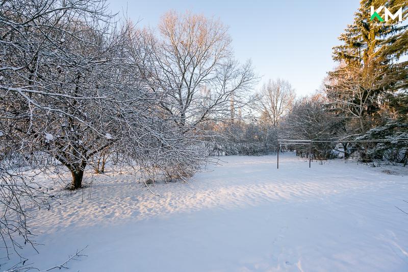 Omakotitalon takapiha on tasainen ja suojainen. Tontilla kasvaa pioneja, omena- ja luumupuita. Toisella puolella tonttia on puistoaluetta.