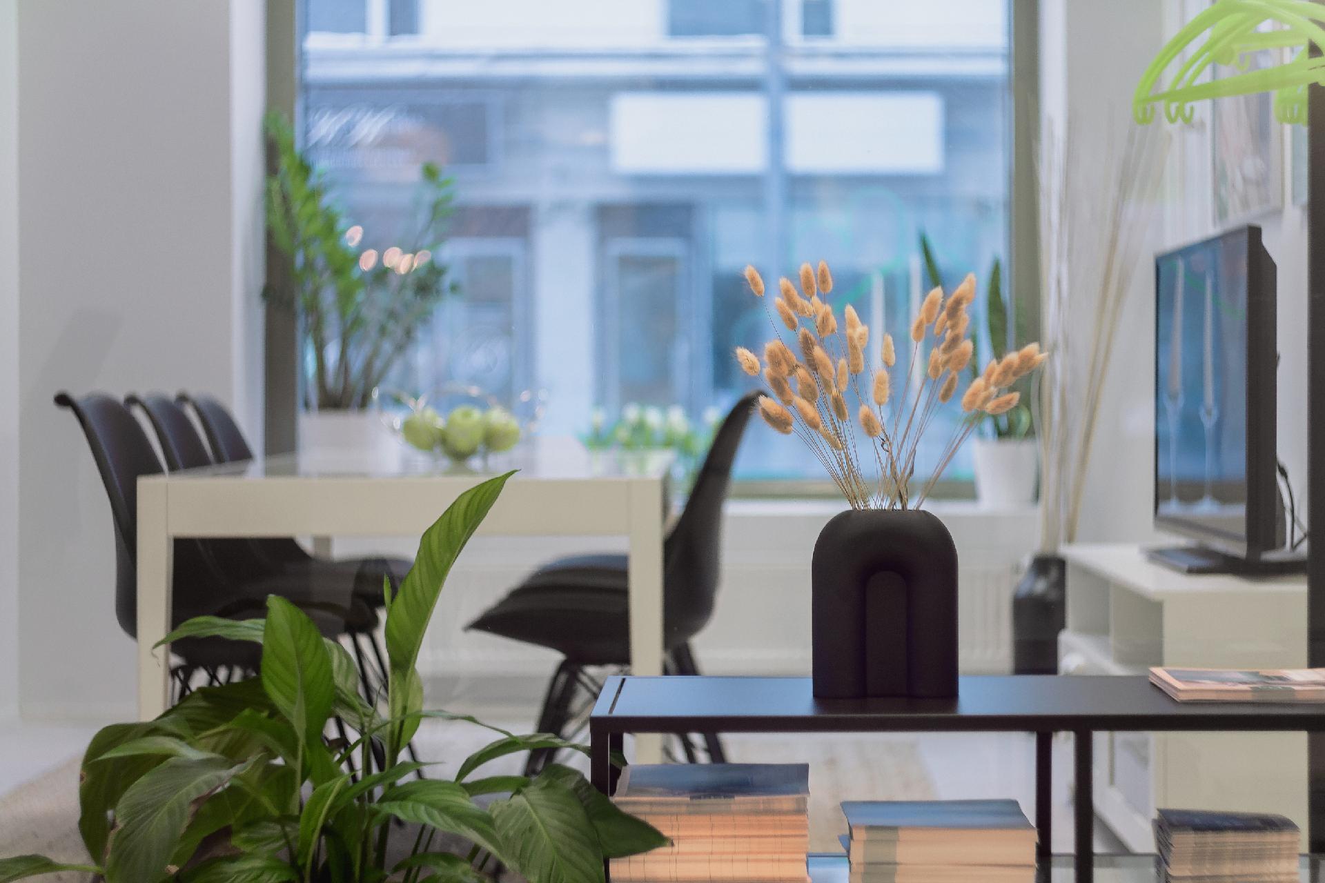 Näyteikkunat Haapaniemenkadulle