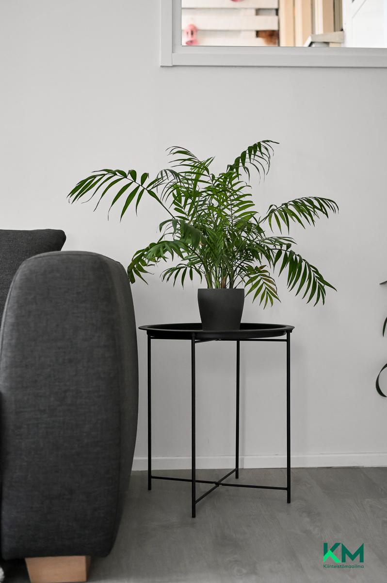 Apilatie 4, Tammisaari, Raasepori