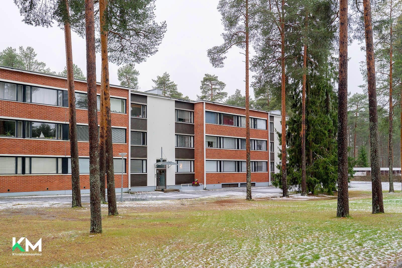Suohaukantie 3, Kaukovainio, Oulu