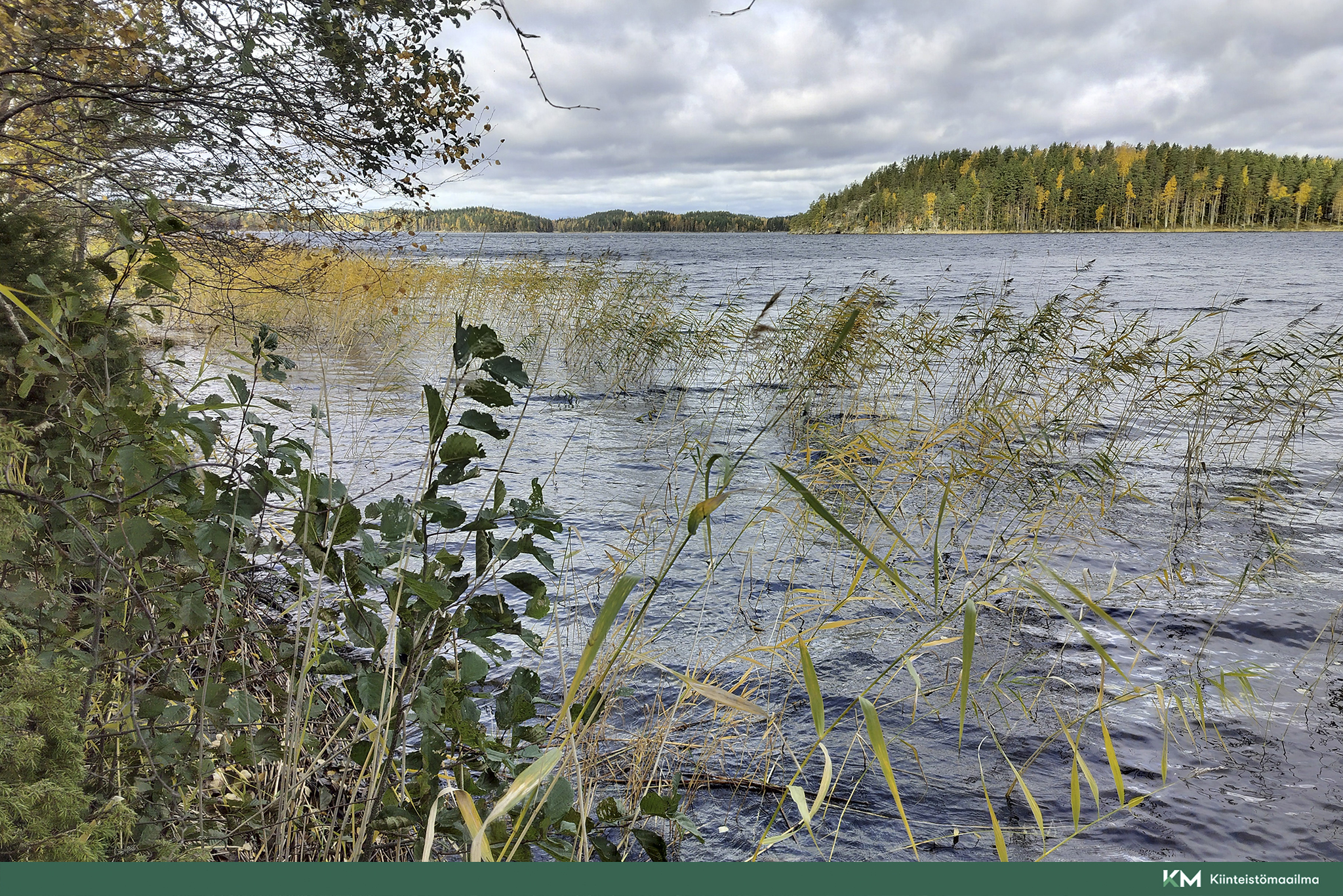 Rauhakiventie tontit 2, 3 ja 6, Ristiina, Mikkeli