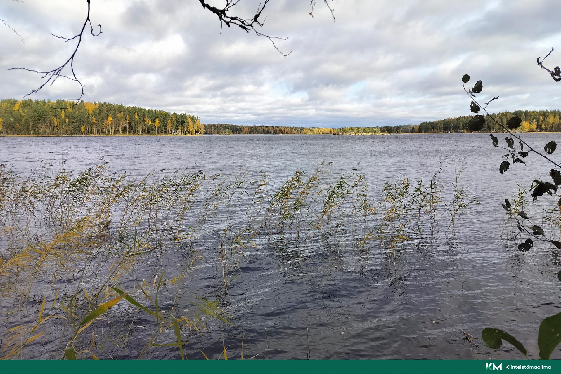 Rauhakiventie tontit 2, 3 ja 6, Ristiina, Mikkeli