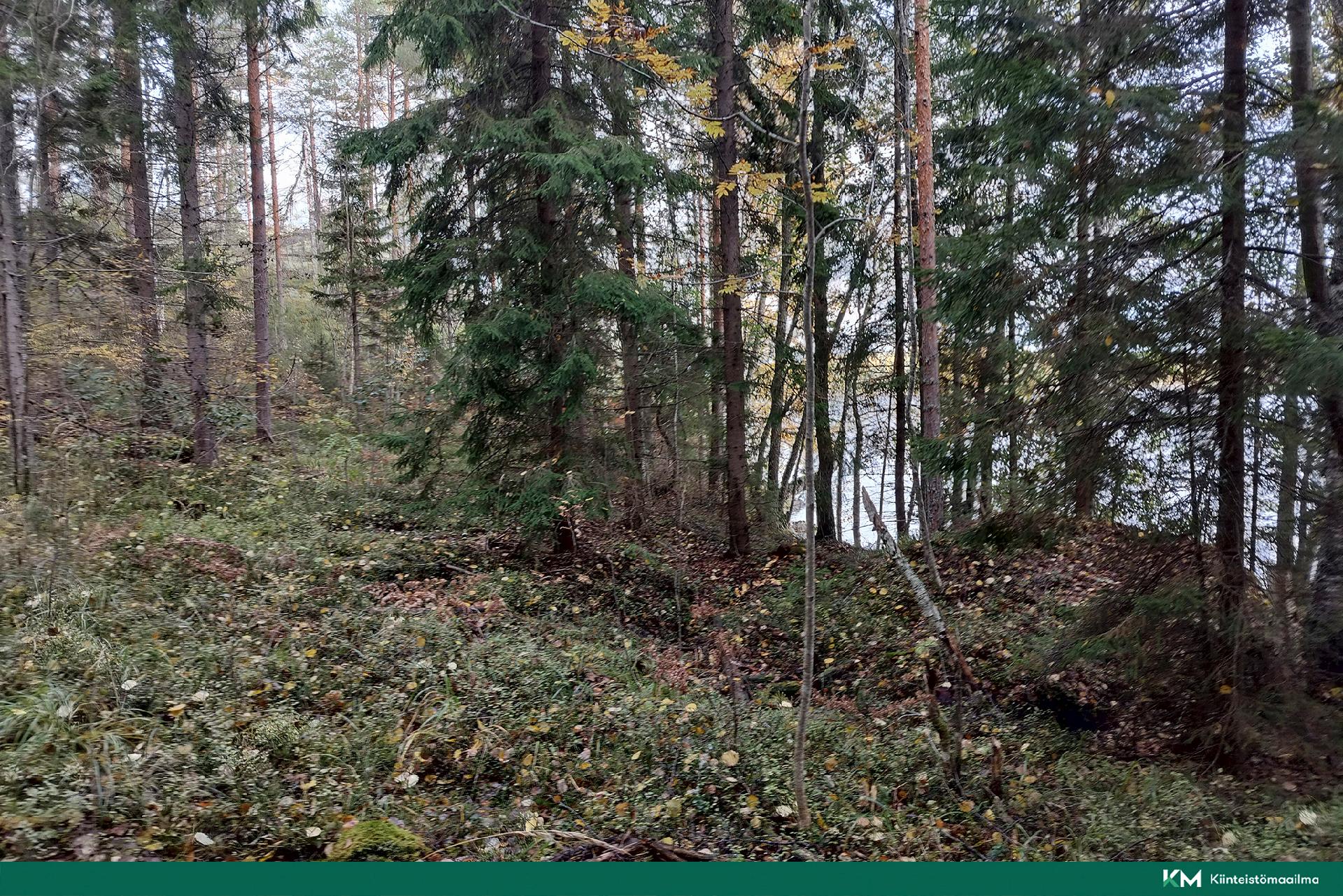 Rauhakiventie tontit 2, 3 ja 6, Ristiina, Mikkeli