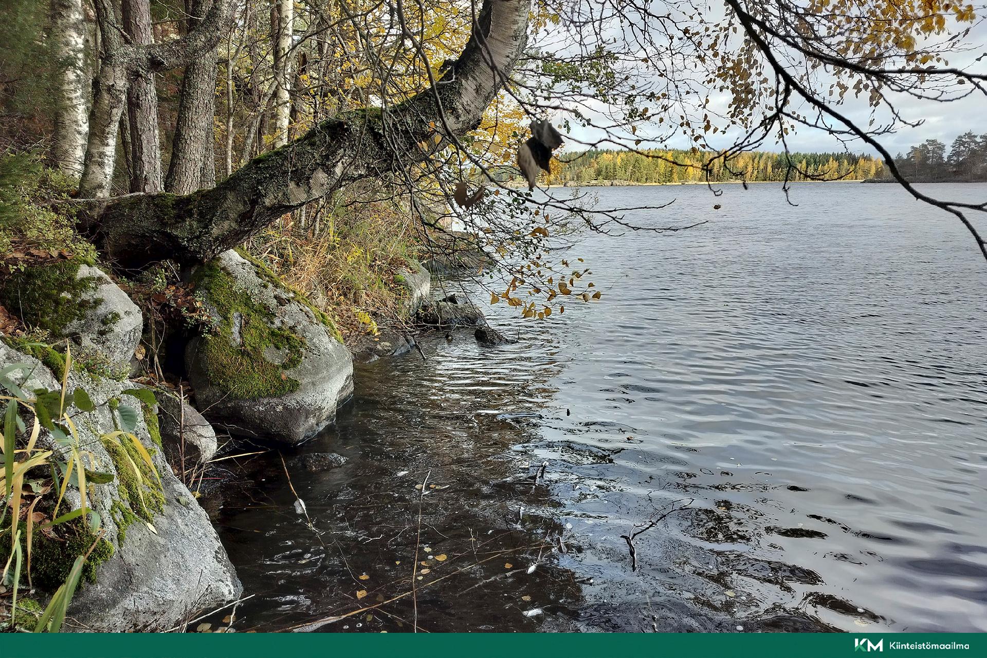 Rauhakiventie tontit 2, 3 ja 6, Ristiina, Mikkeli