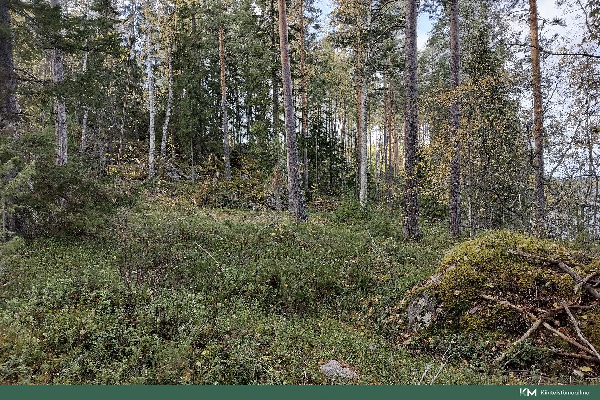 Rauhakiventie tontit 2, 3 ja 6, Ristiina, Mikkeli