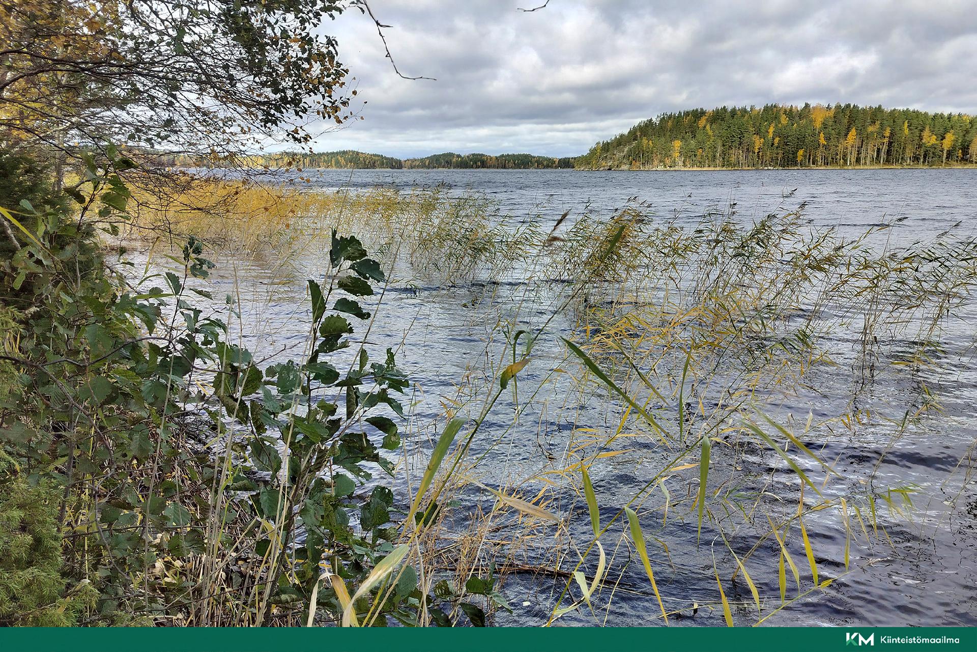 Rauhakiventie tontit 2, 3 ja 6, Ristiina, Mikkeli