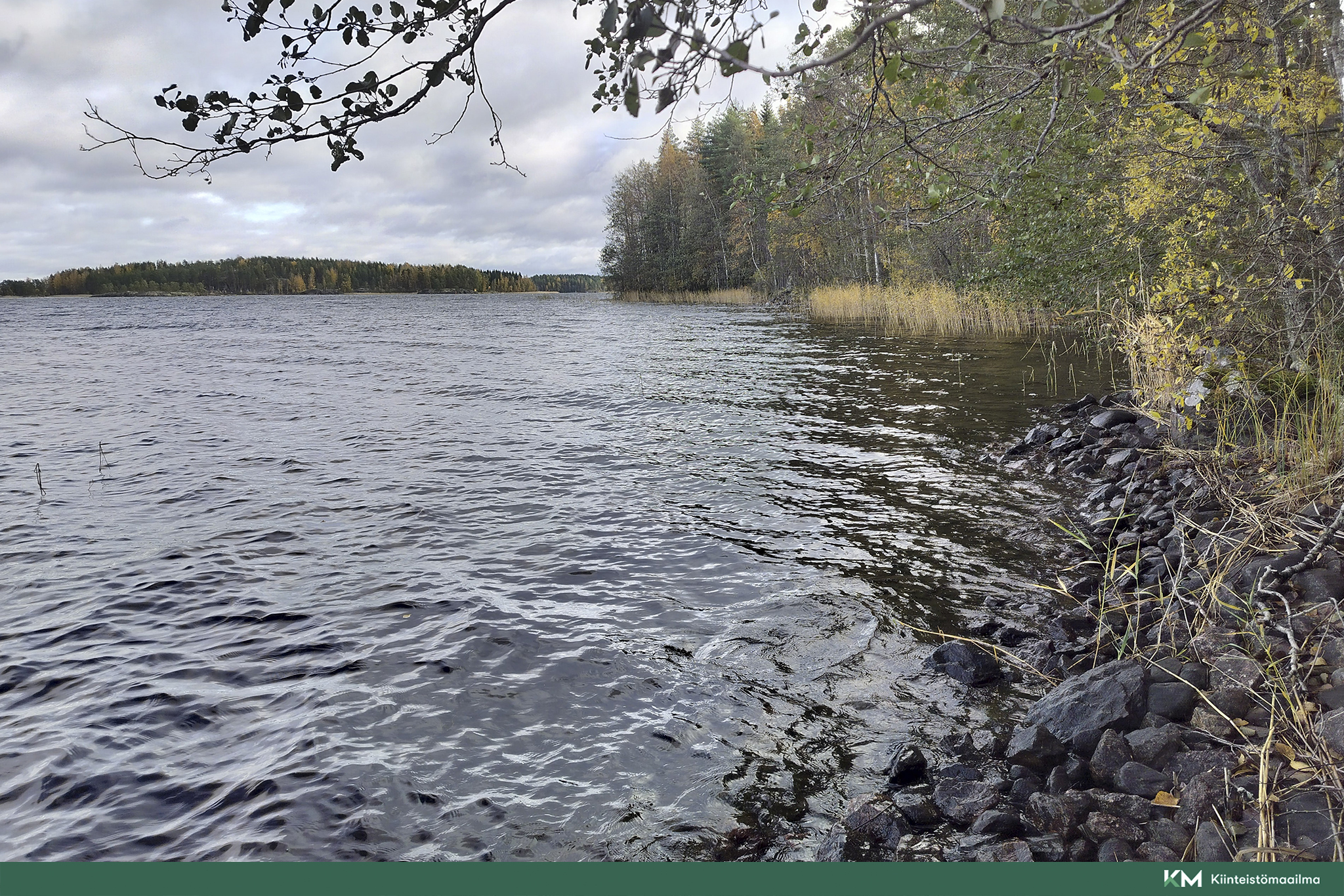 Rauhakiventie tontit 2, 3 ja 6, Ristiina, Mikkeli
