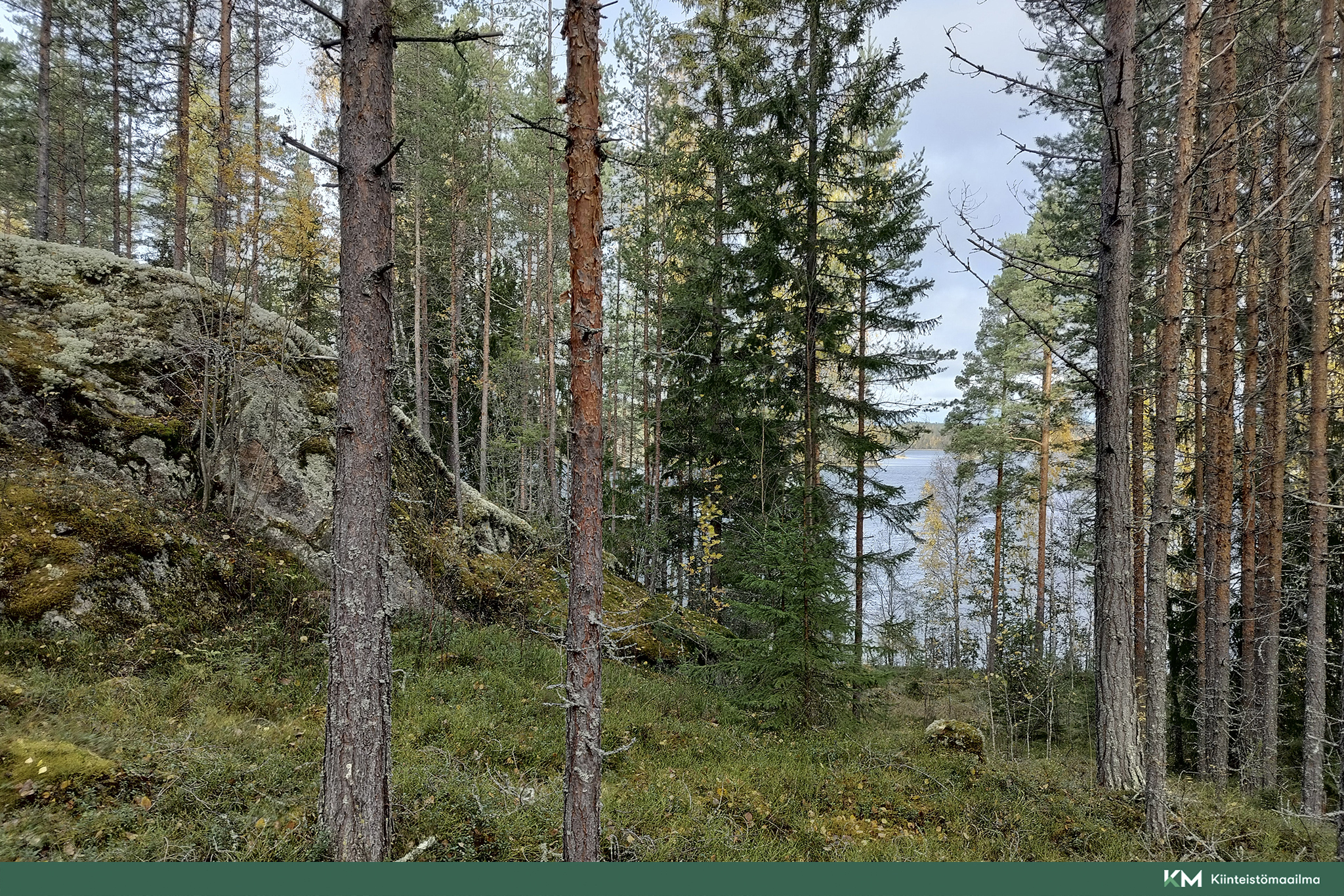 Rauhakiventie tontit 2, 3 ja 6, Ristiina, Mikkeli